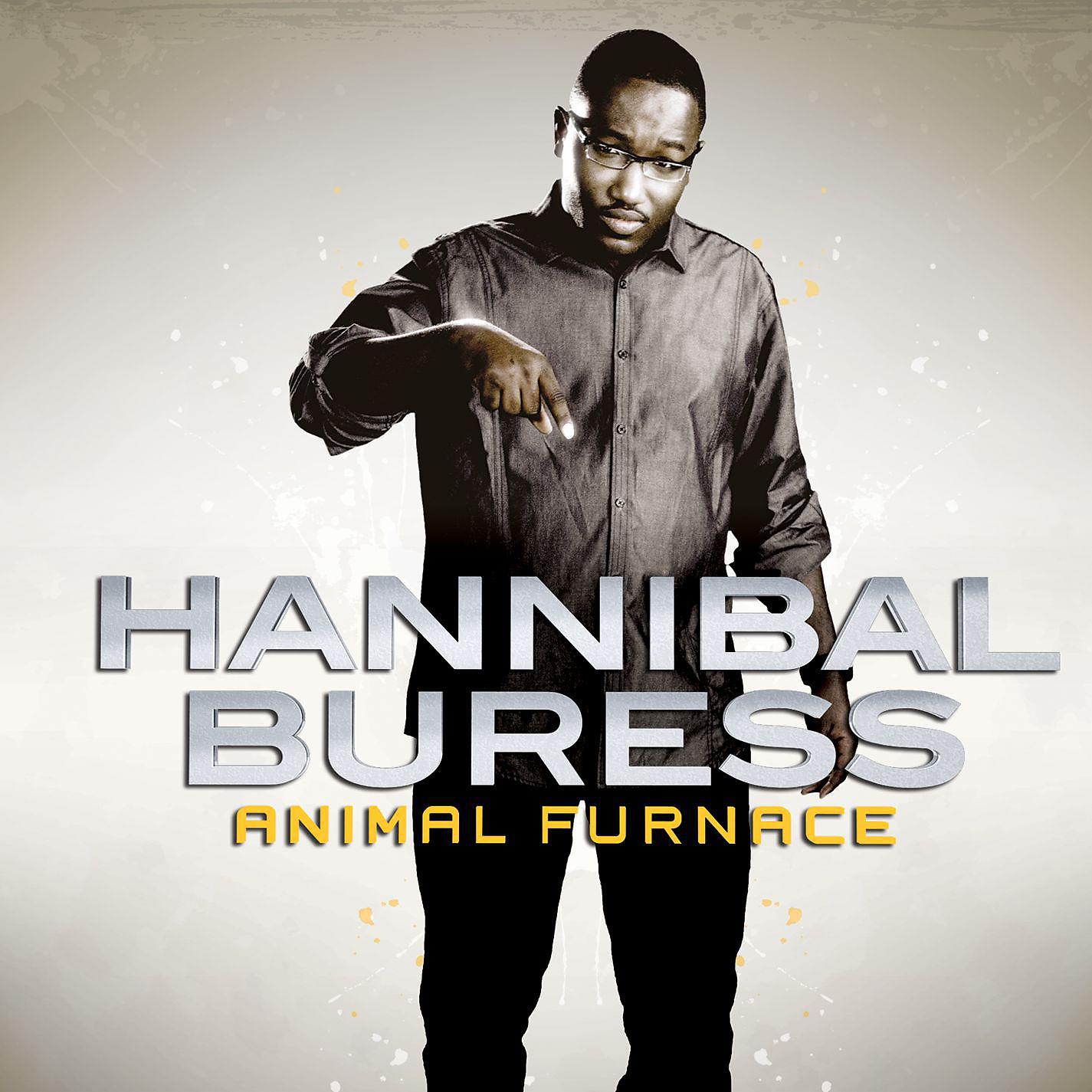 Постер альбома Animal Furnace