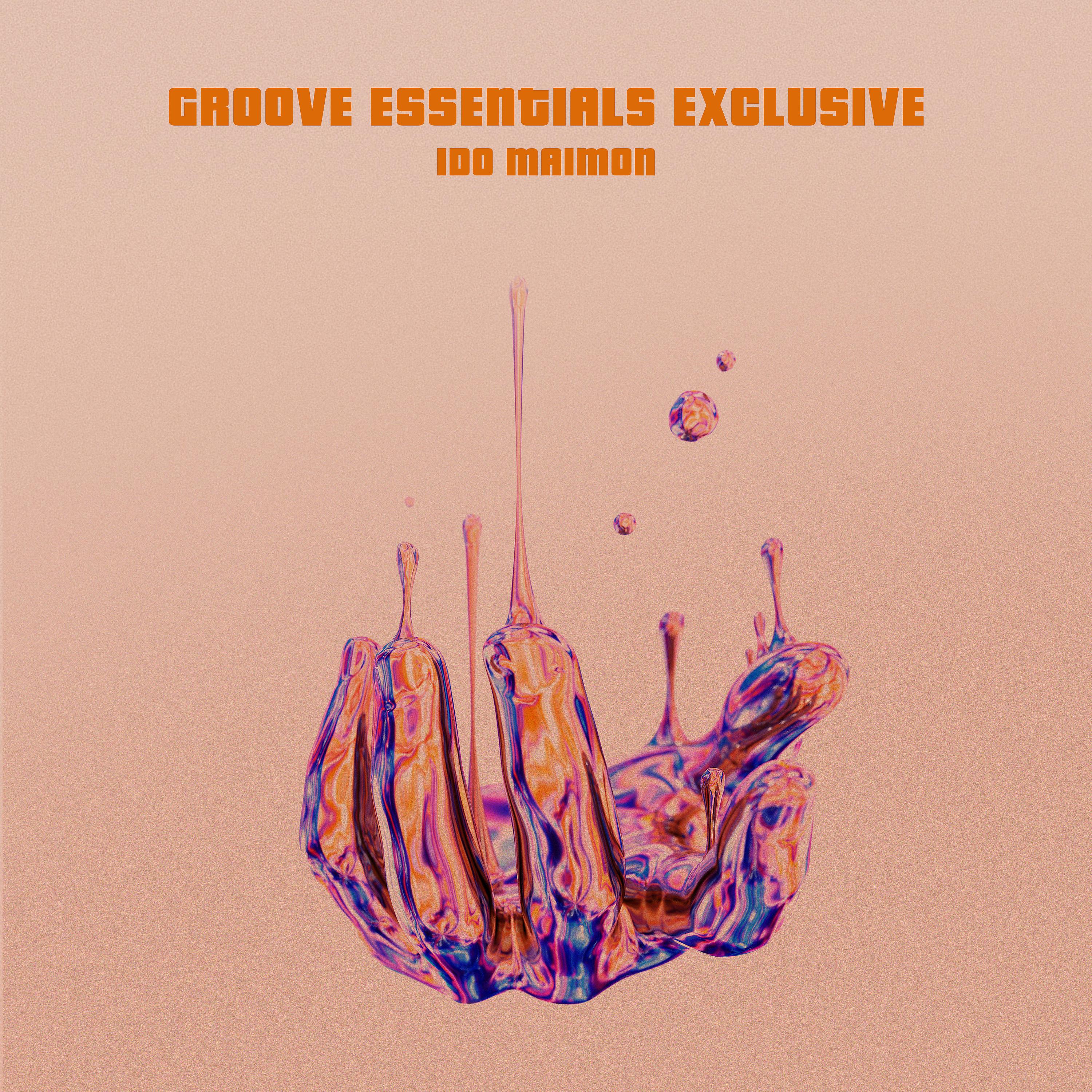 Постер альбома Groove Essentials Exclusive