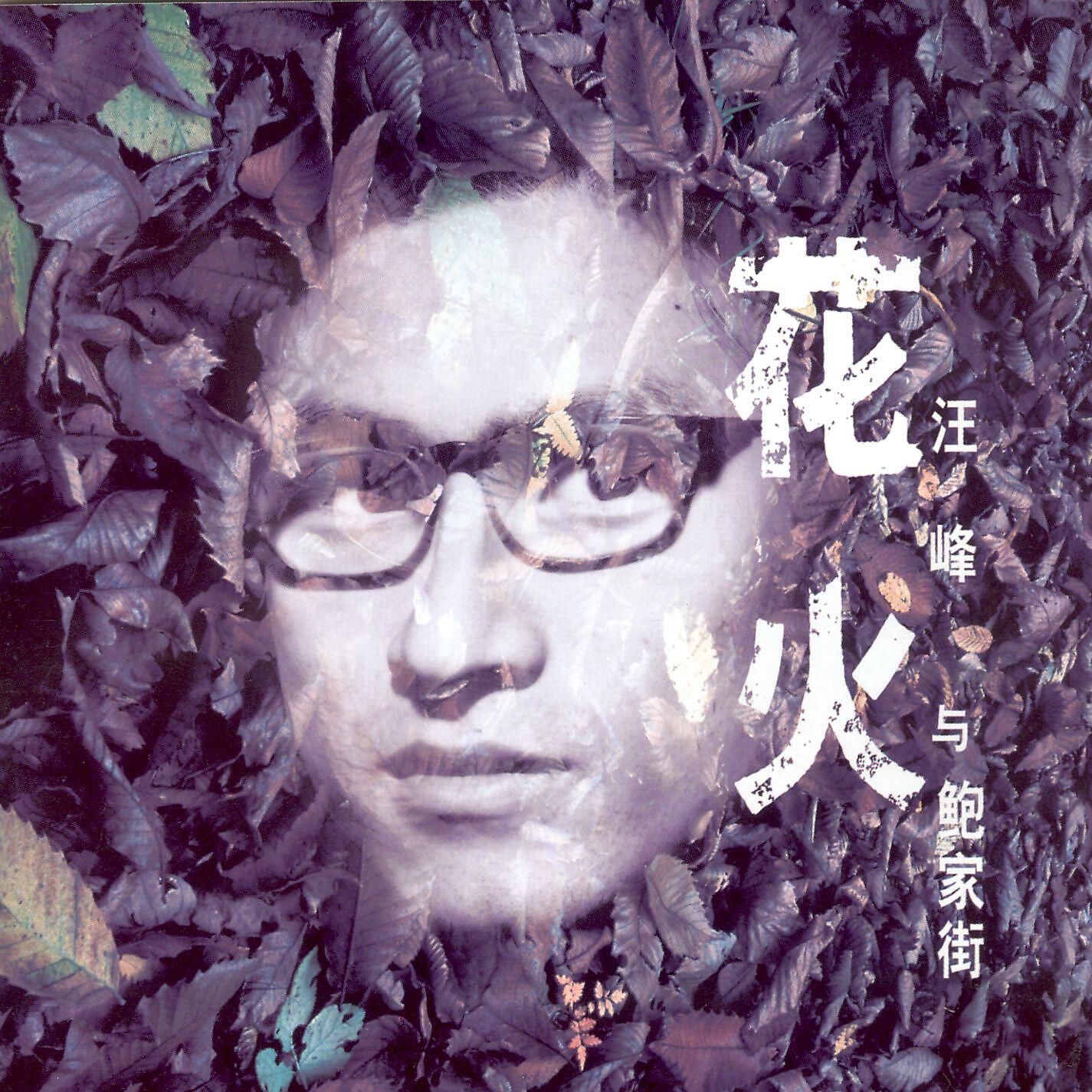 Wang feng. Gaho альбом Fireworks