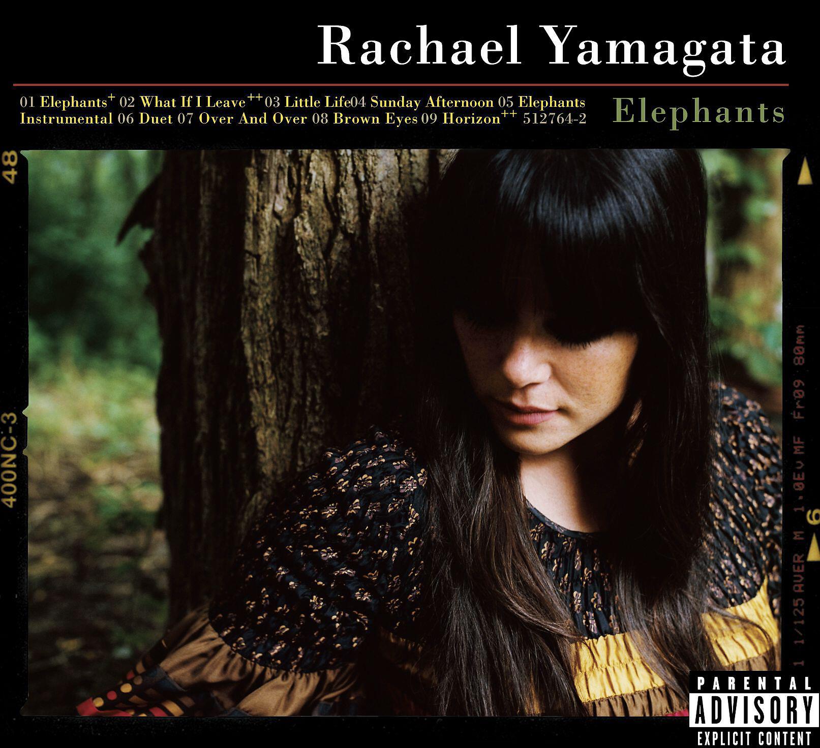 Rachael Yamagata - The Only Fault (Hidden Track)