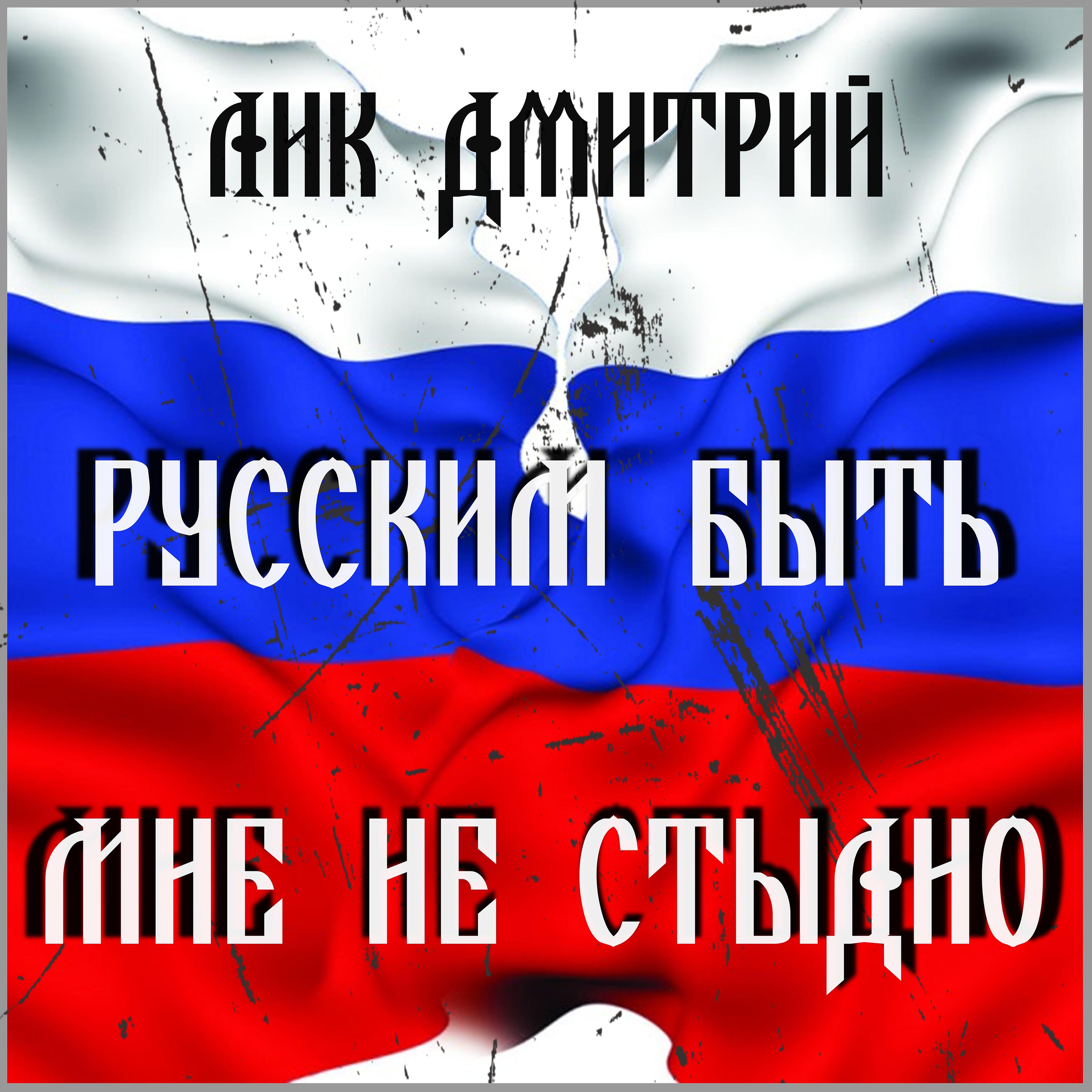 Постер альбома Мне не стыдно быть русским!