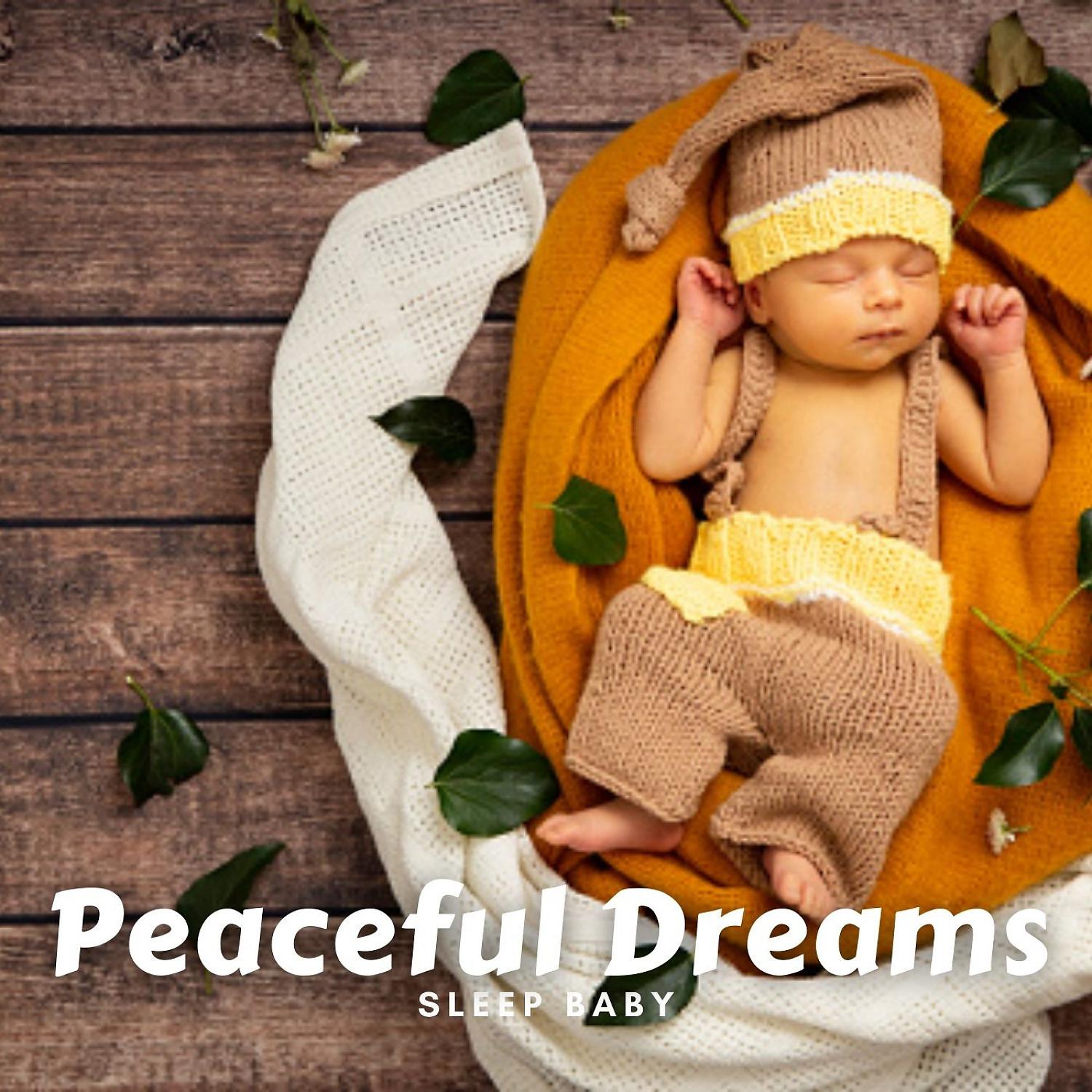 Постер альбома Sleep Baby: Peaceful Dreams