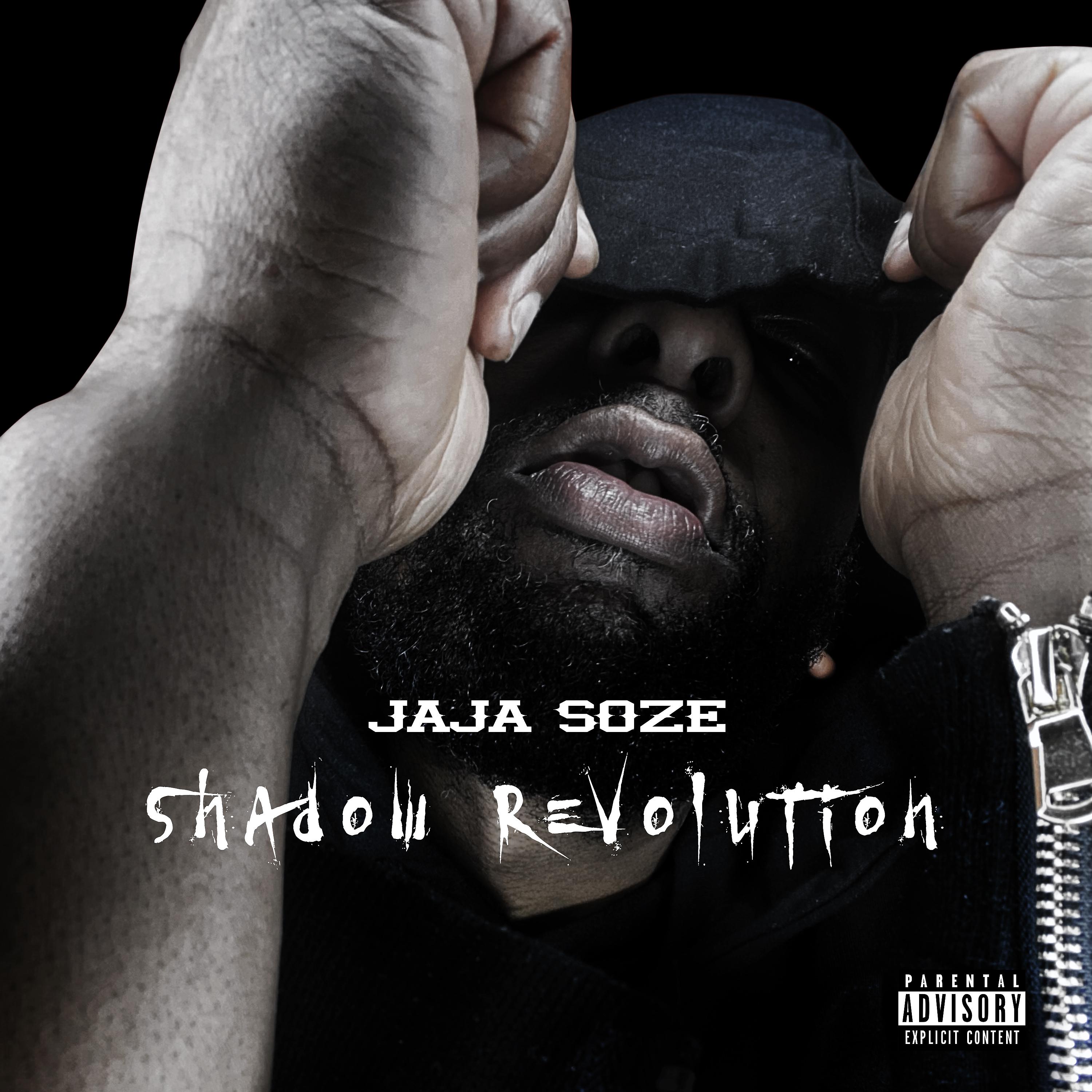 Постер альбома Shadow Revolution