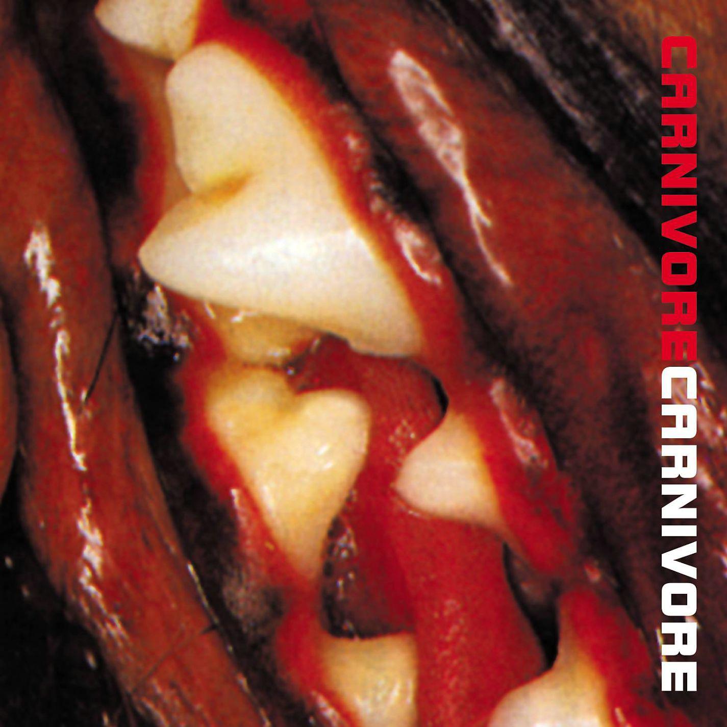 Постер альбома Carnivore