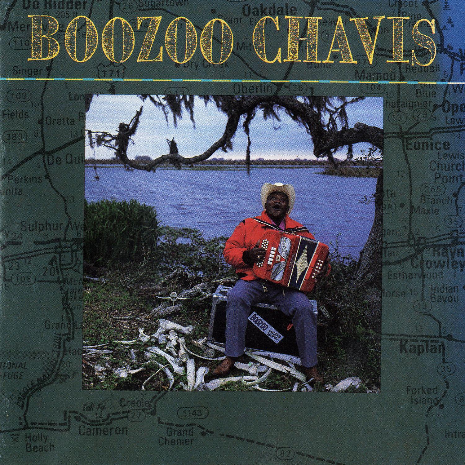 Постер альбома Boozoo Chavis