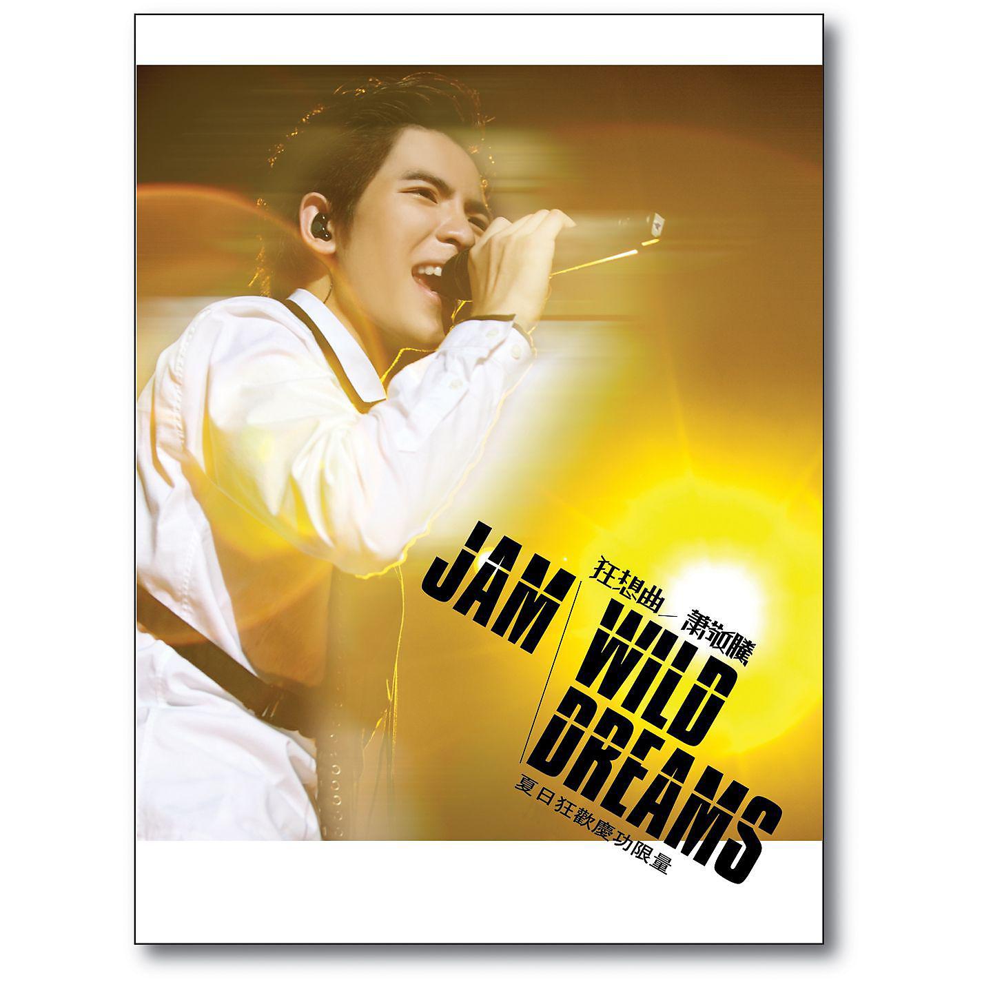 Постер альбома Jam Wild Dreams (2nd Version)