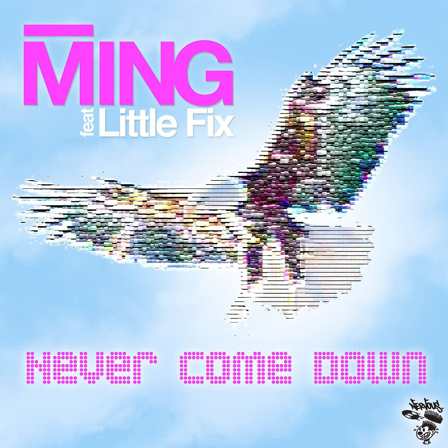 Постер альбома Never Come Down feat. Little Fix