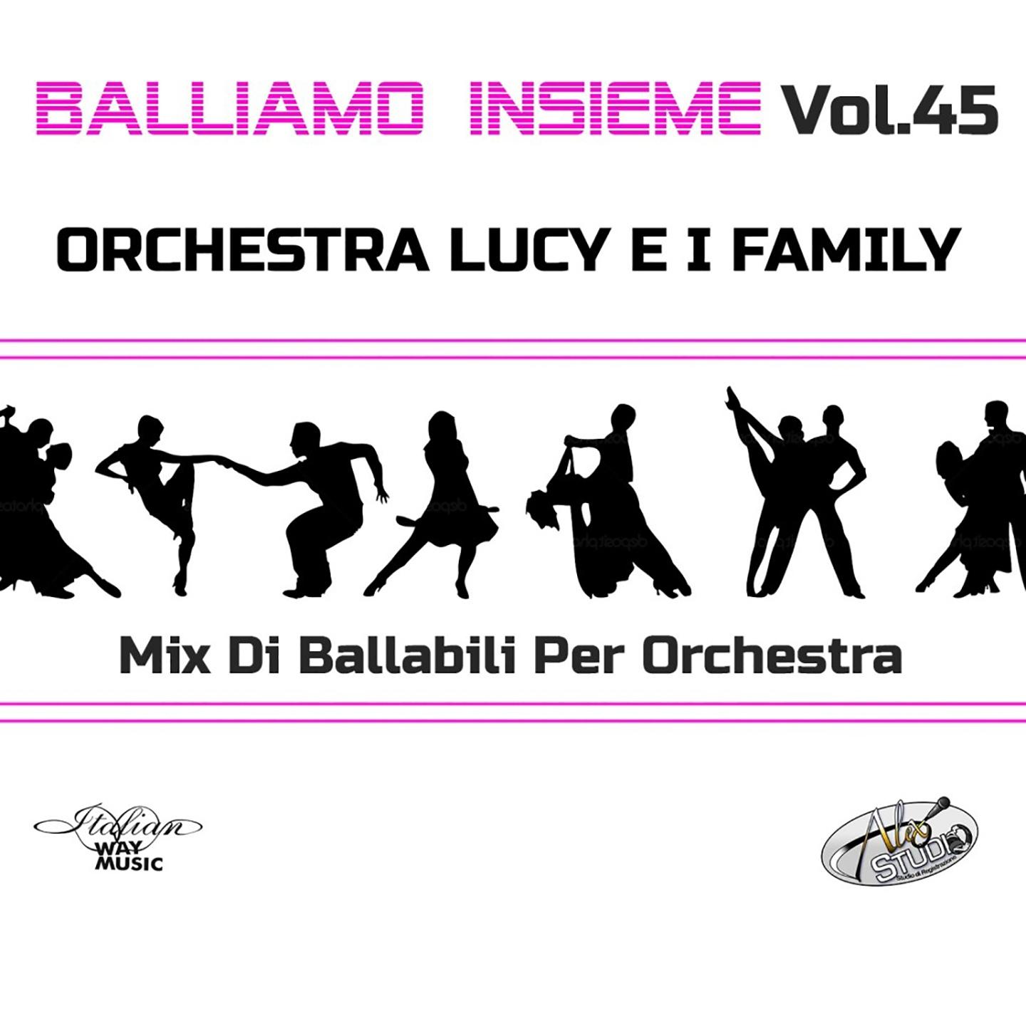 Постер альбома Balliamo insieme, Vol. 45