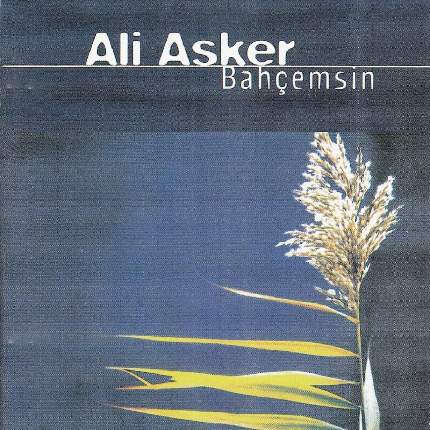 Ali Asker - Anama Deyin