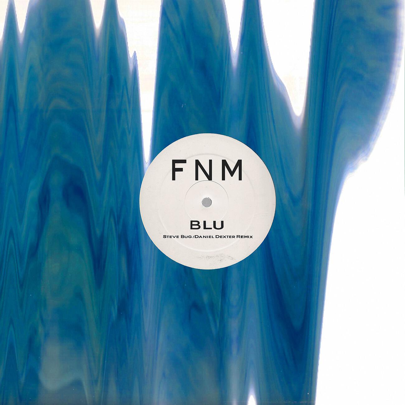 FNM - Blu (Steve Bug & Daniel Dexter Remix)