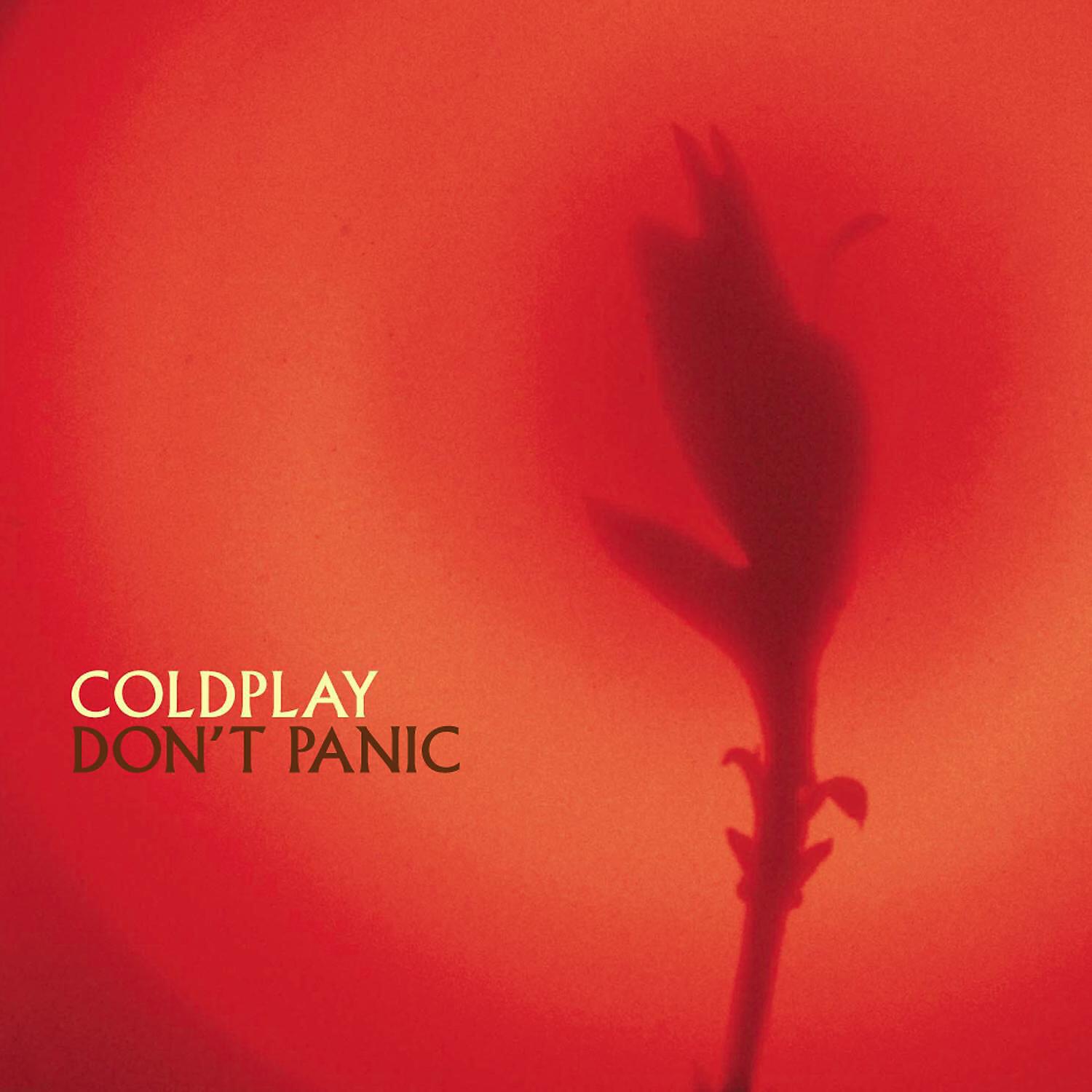 Don't panic coldplay chords. High speed coldplay. Don't panic coldplay обложка. Don't panic lyrics. Coldplay don t panic перевод.