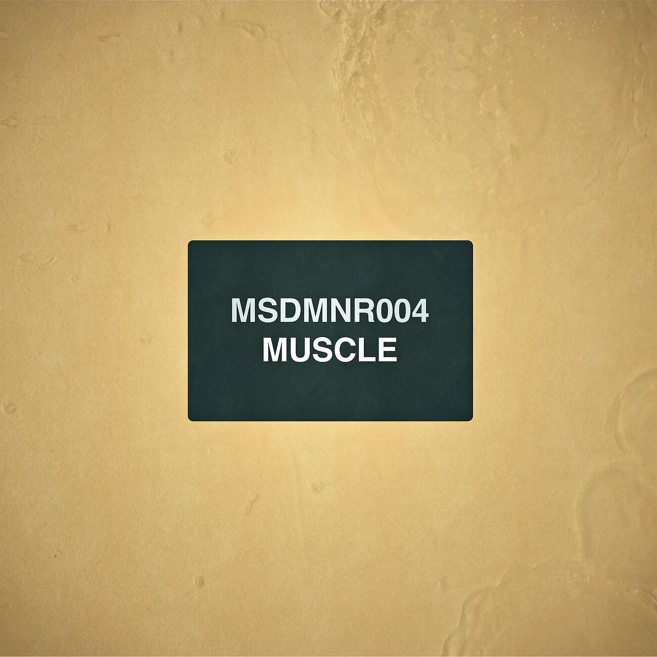 MSDMNR - Muscle