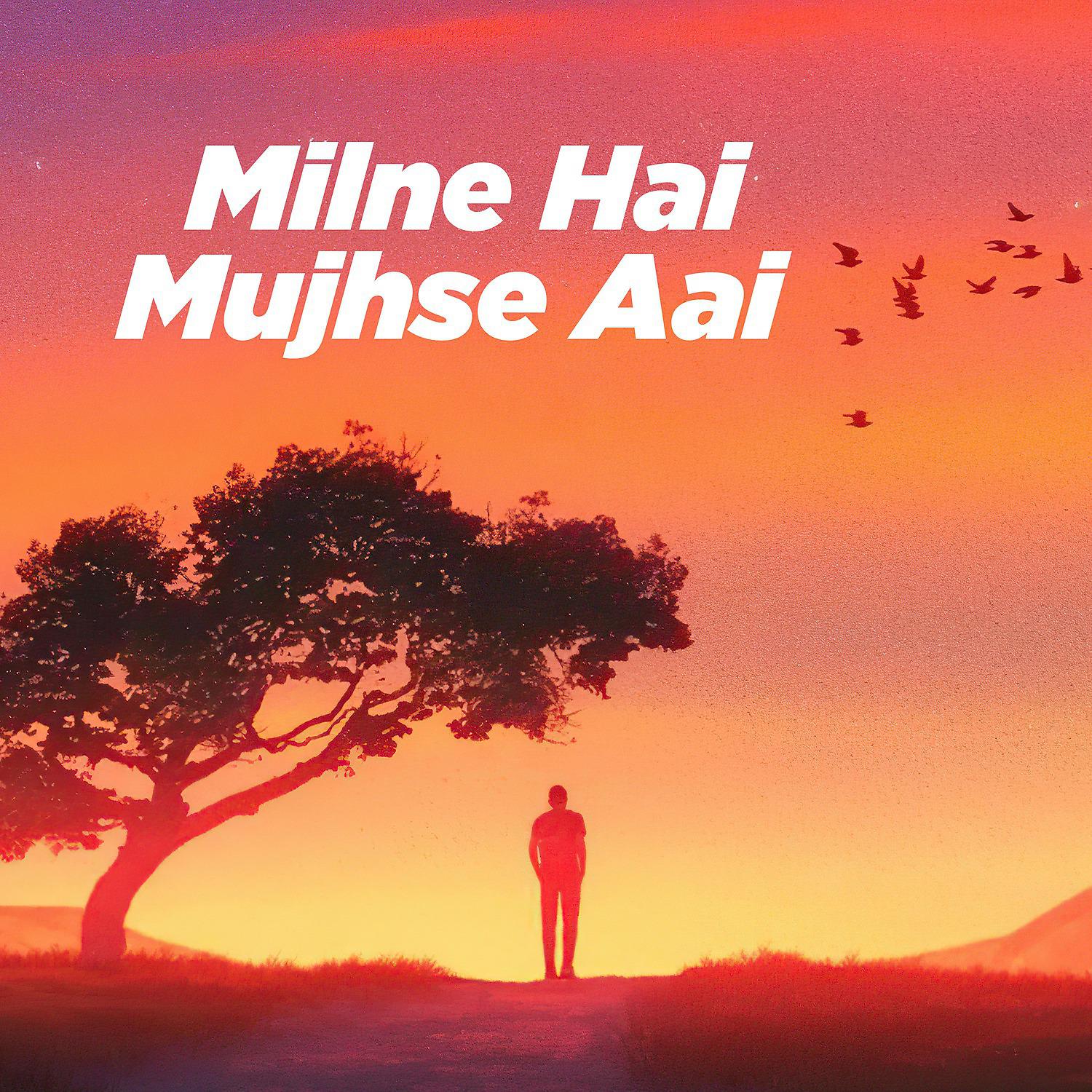 Постер альбома Milne Hai Mujhse Aai