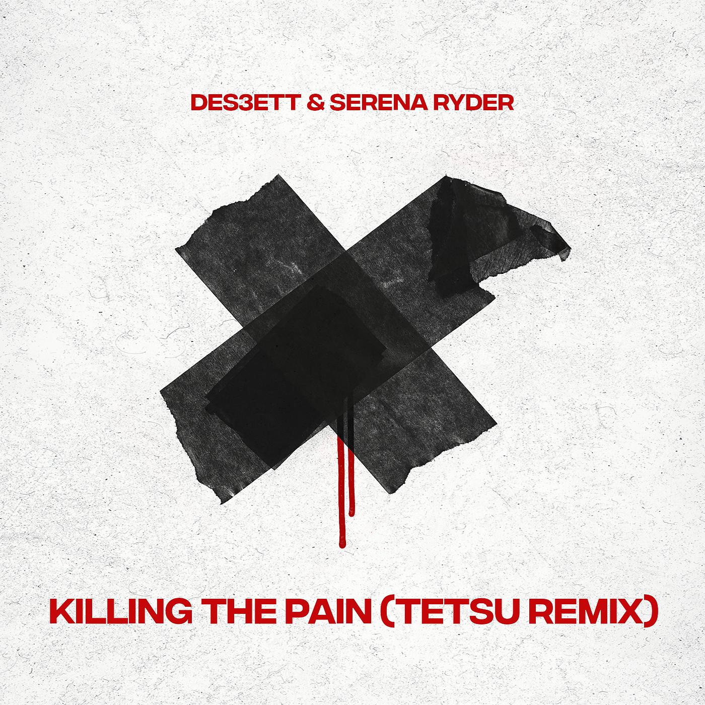 Постер альбома Killing The Pain (TETSU Remix)