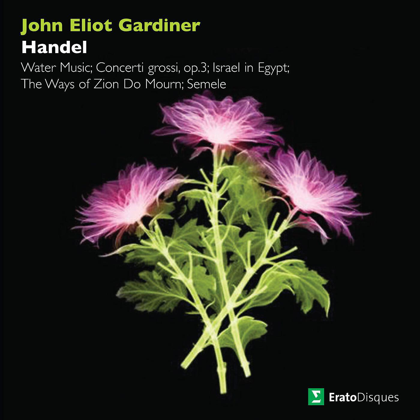 John Eliot Gardiner - The ways of Zion do Mourn, HWV 264: II. The ways of Zion do Mourn