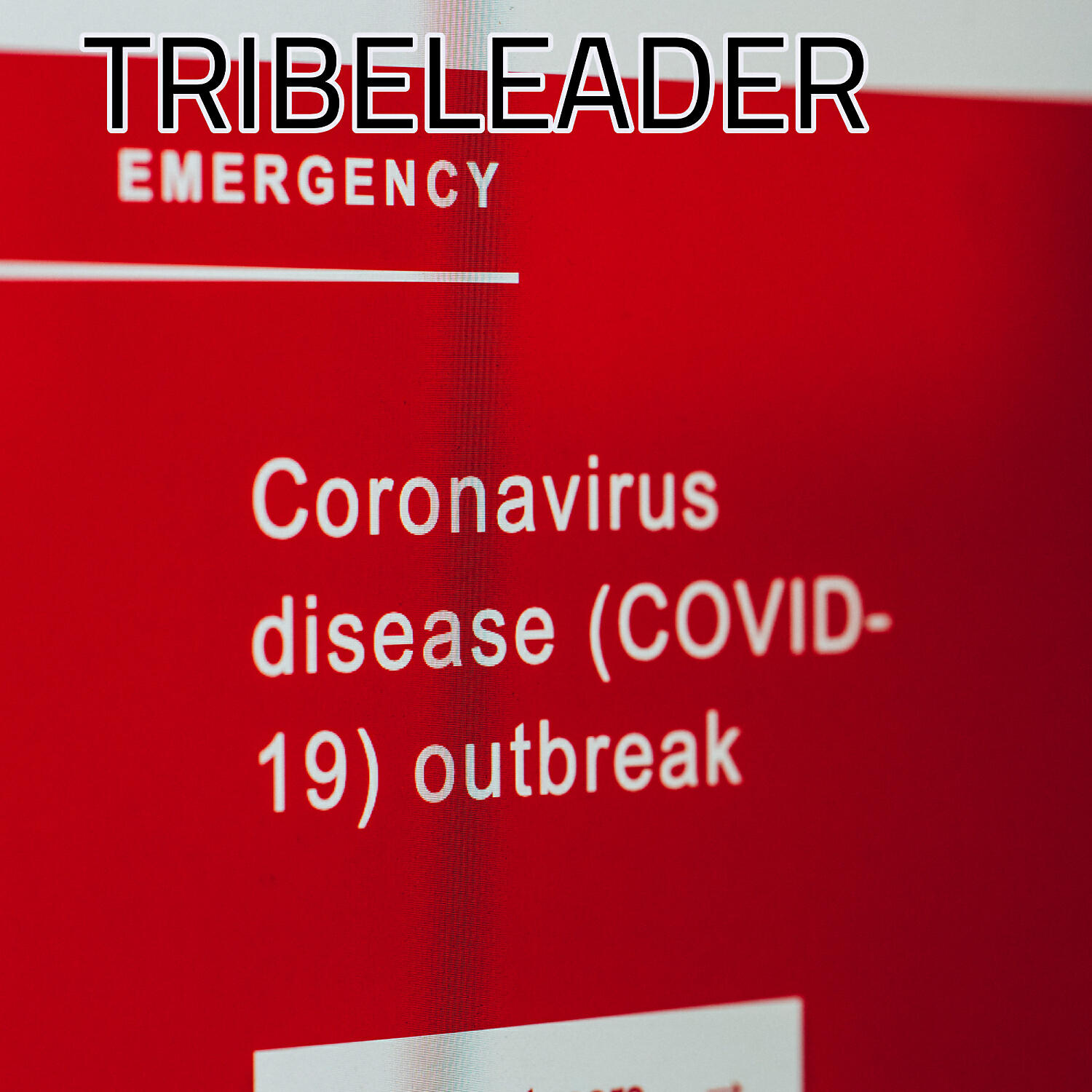 Tribeleader - INFINITE KNOWLEDGE
