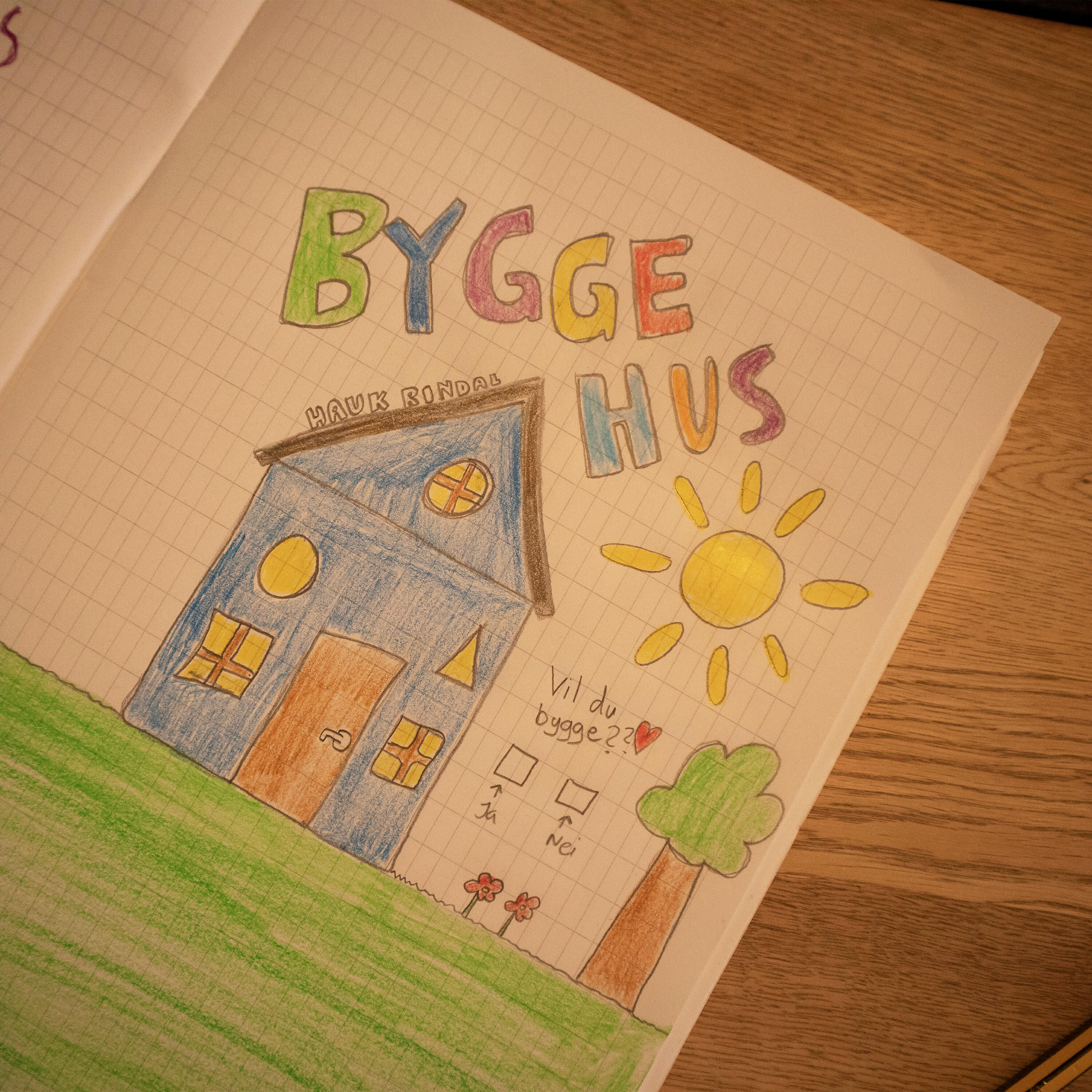 Hauk Rindal - Bygge Hus