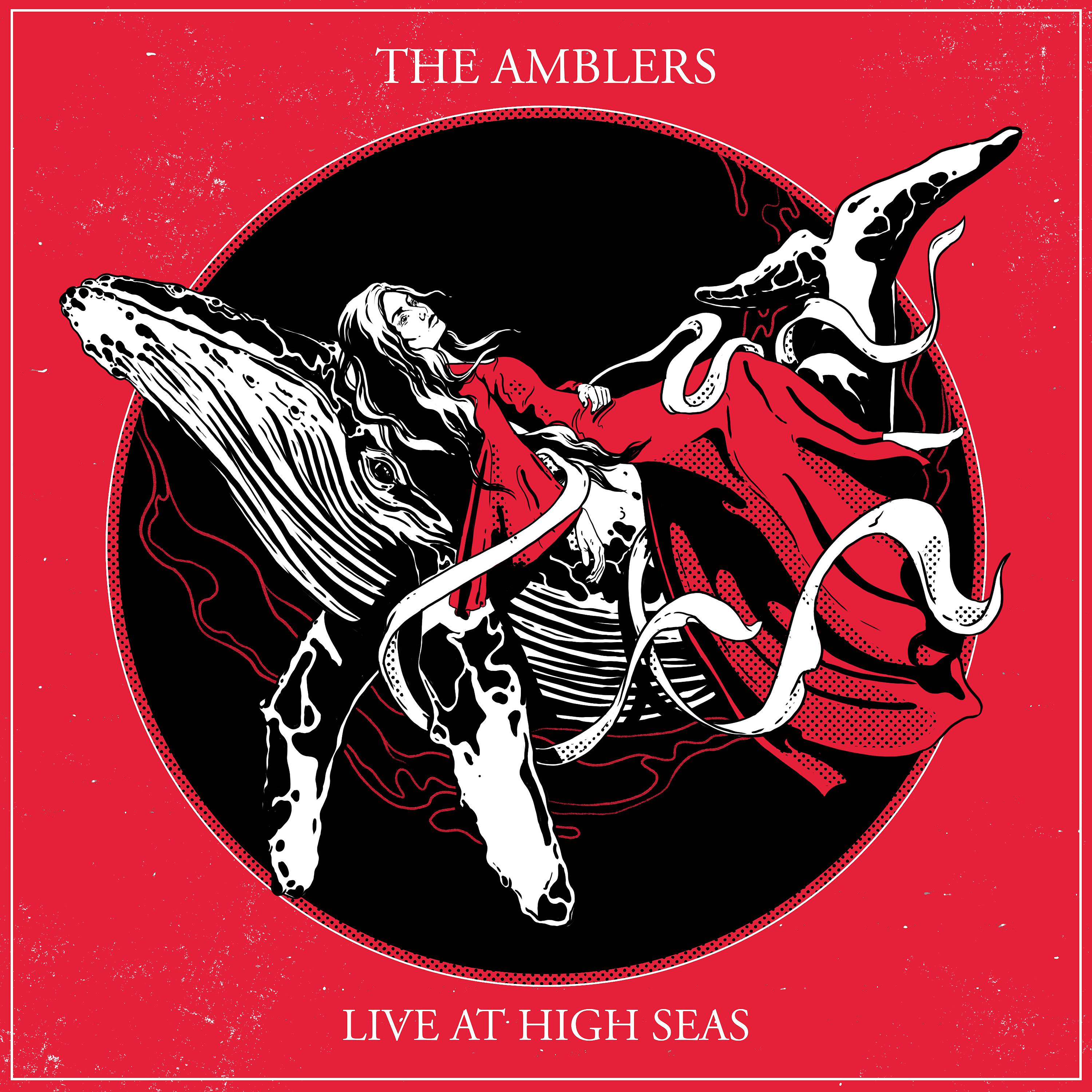 Постер альбома Live at High Seas