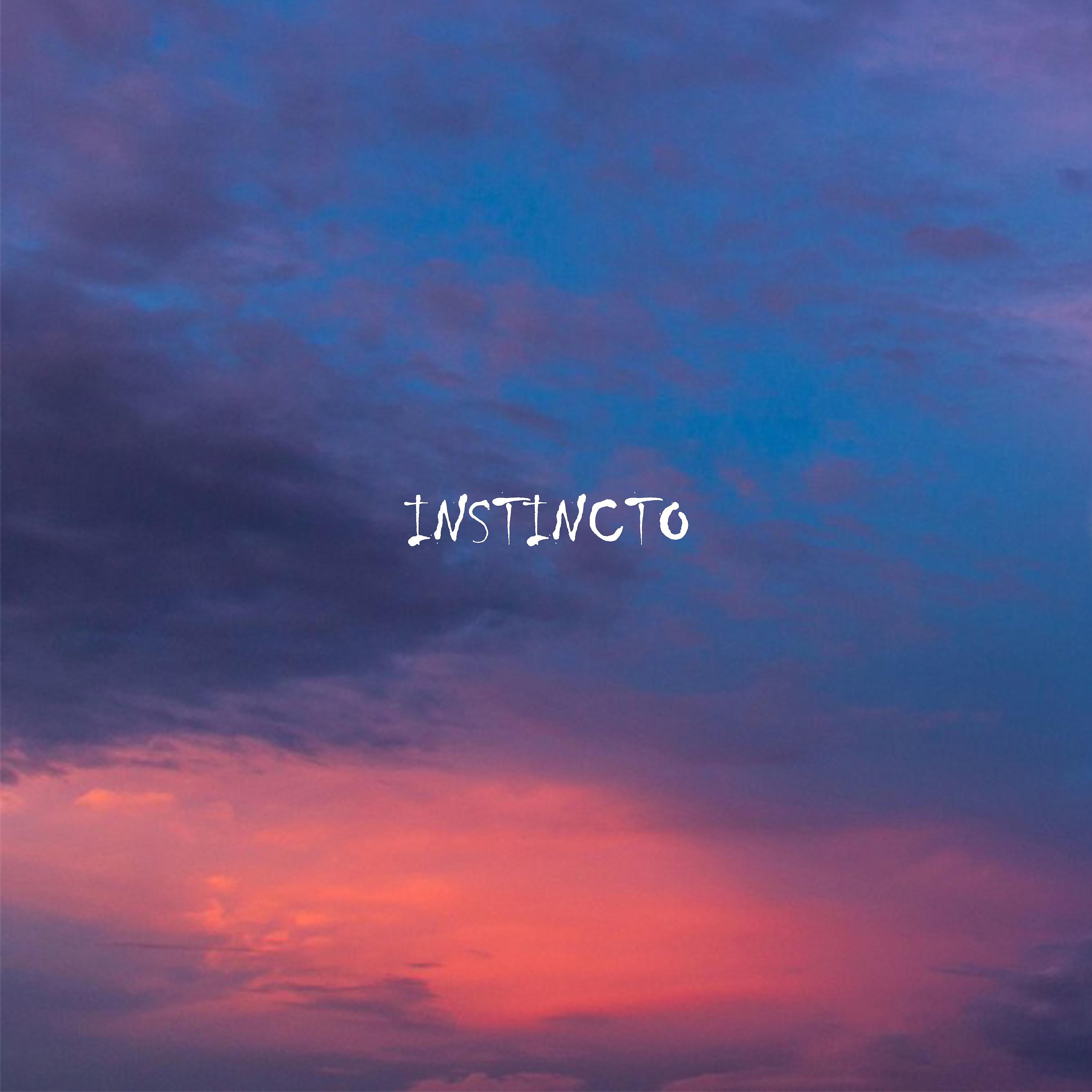Постер альбома Instincto