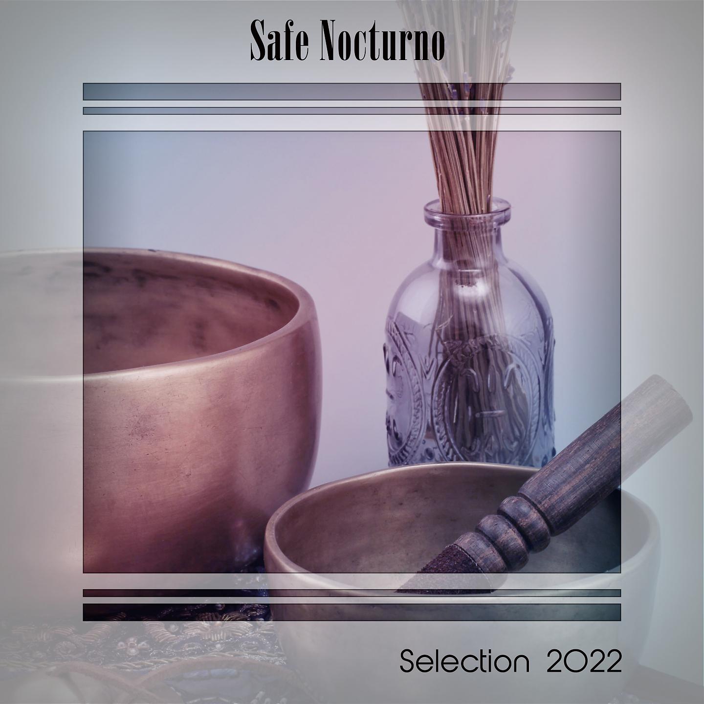 Постер альбома SAFE NOCTURNO SELECTION 2022