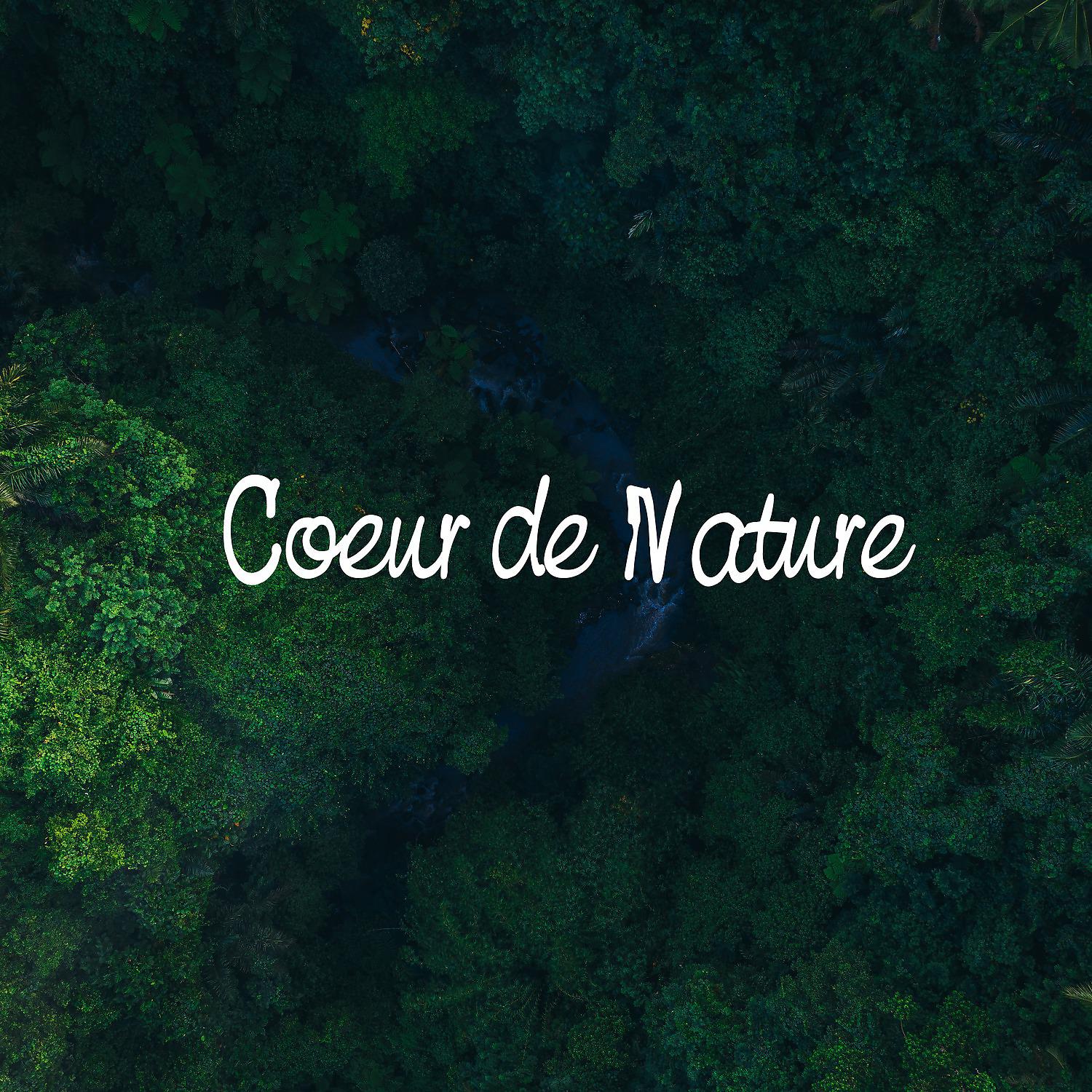 Постер альбома Coeur de nature