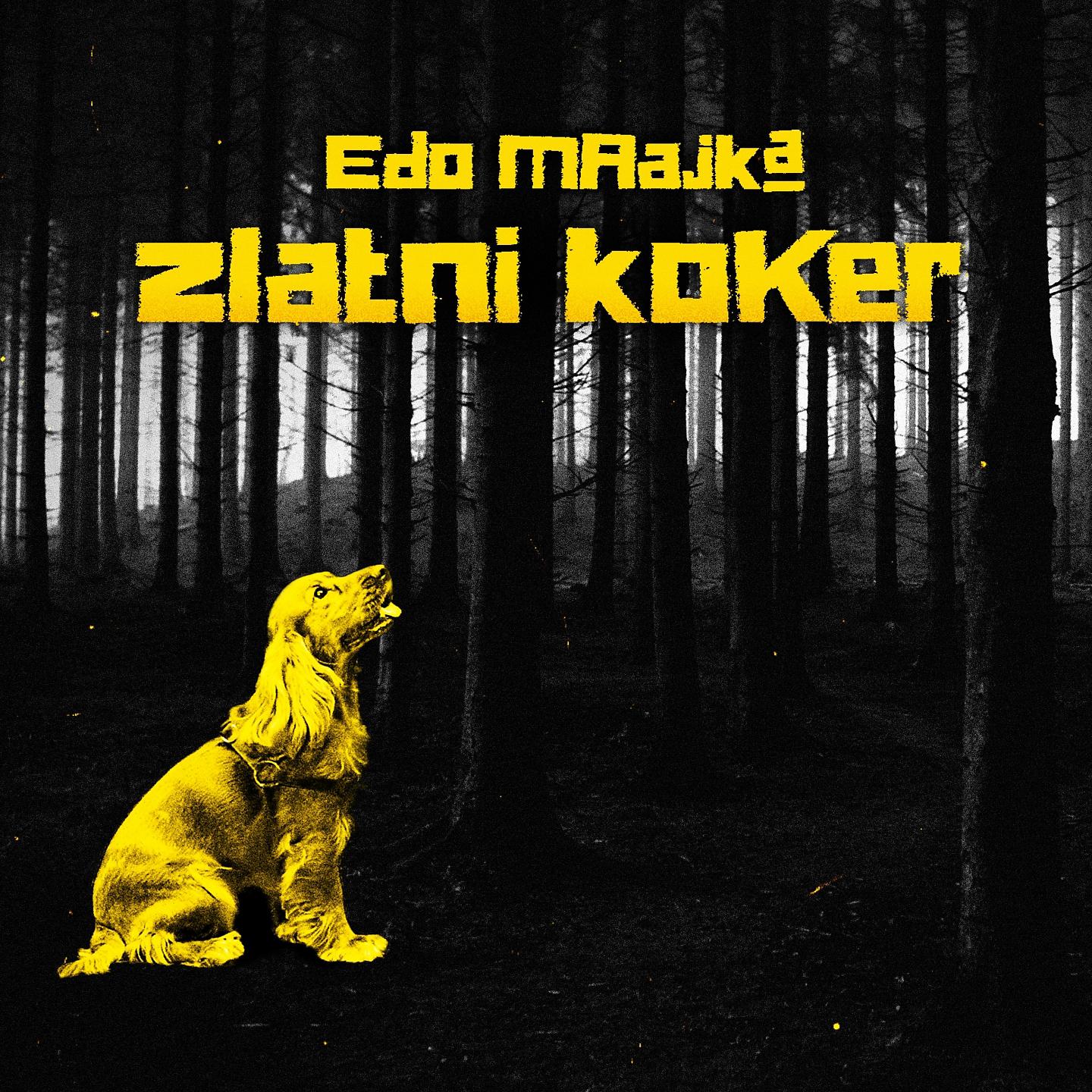 Постер альбома Zlatni koker