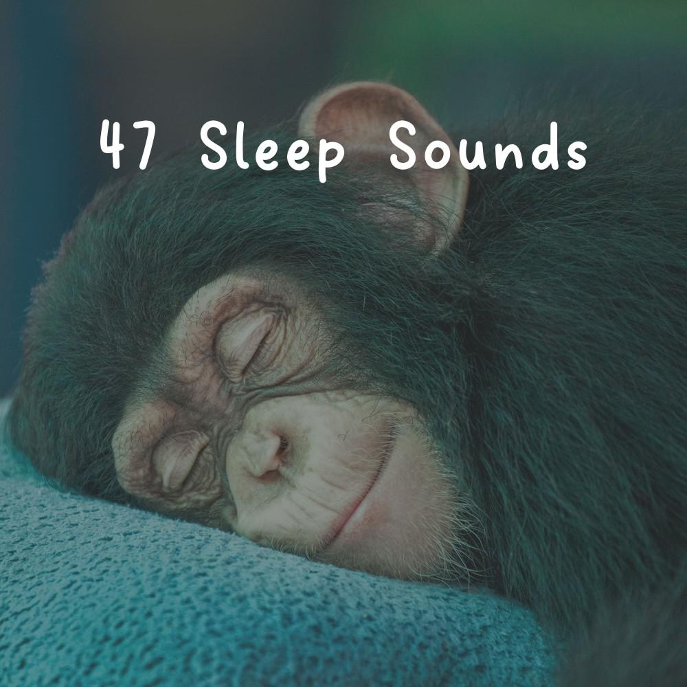 Постер альбома 47 Sleep Sounds
