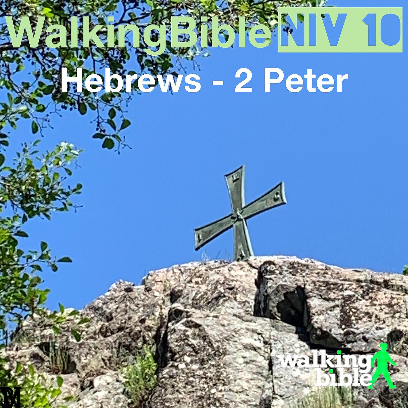 Постер альбома WalkingBible Niv 10 Hebrews - 2 Peter
