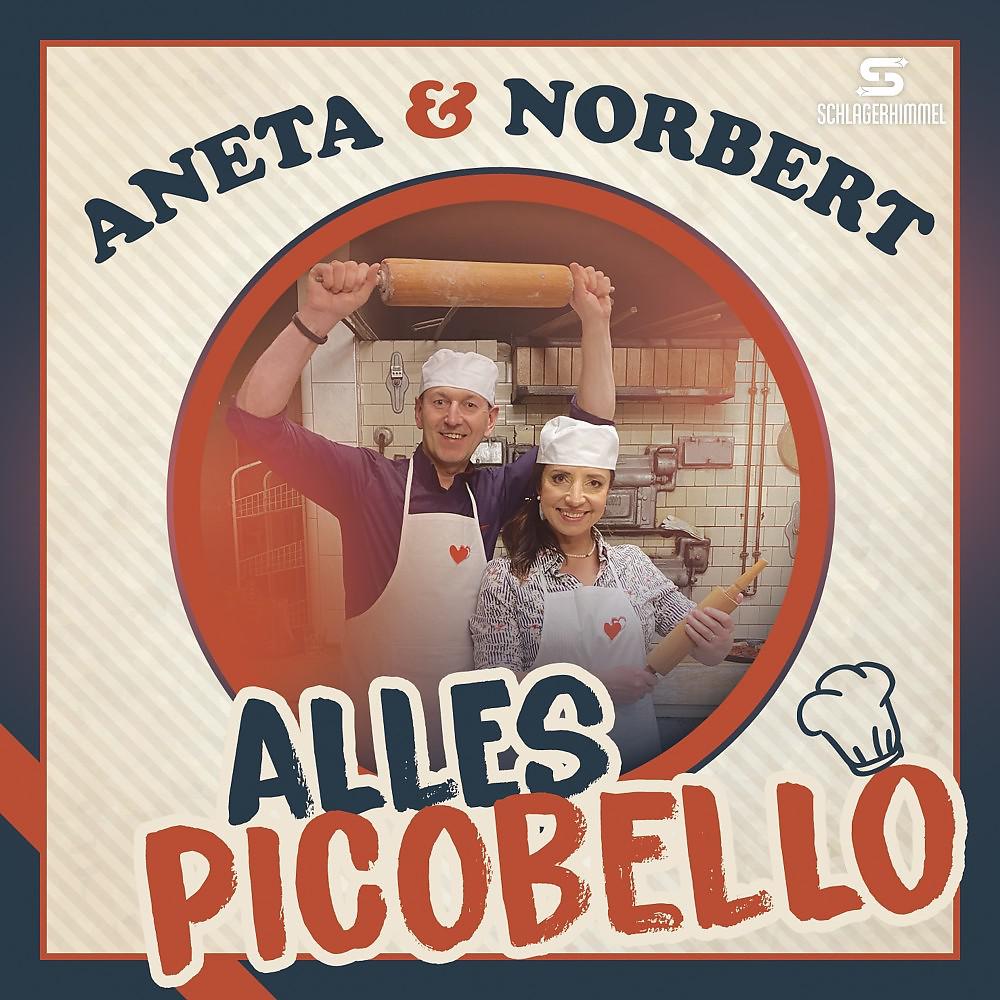 Постер альбома Alles picobello