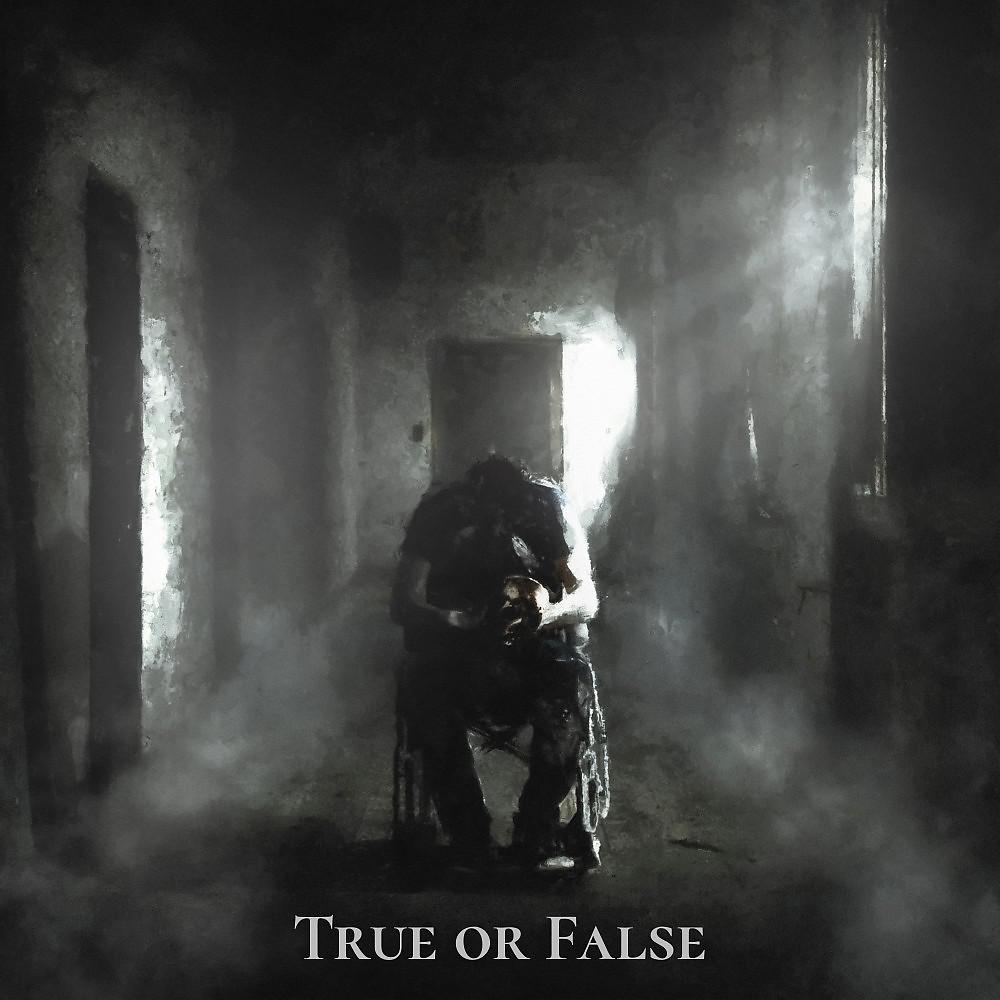 Постер альбома True or False (Prod. By Pink flex)