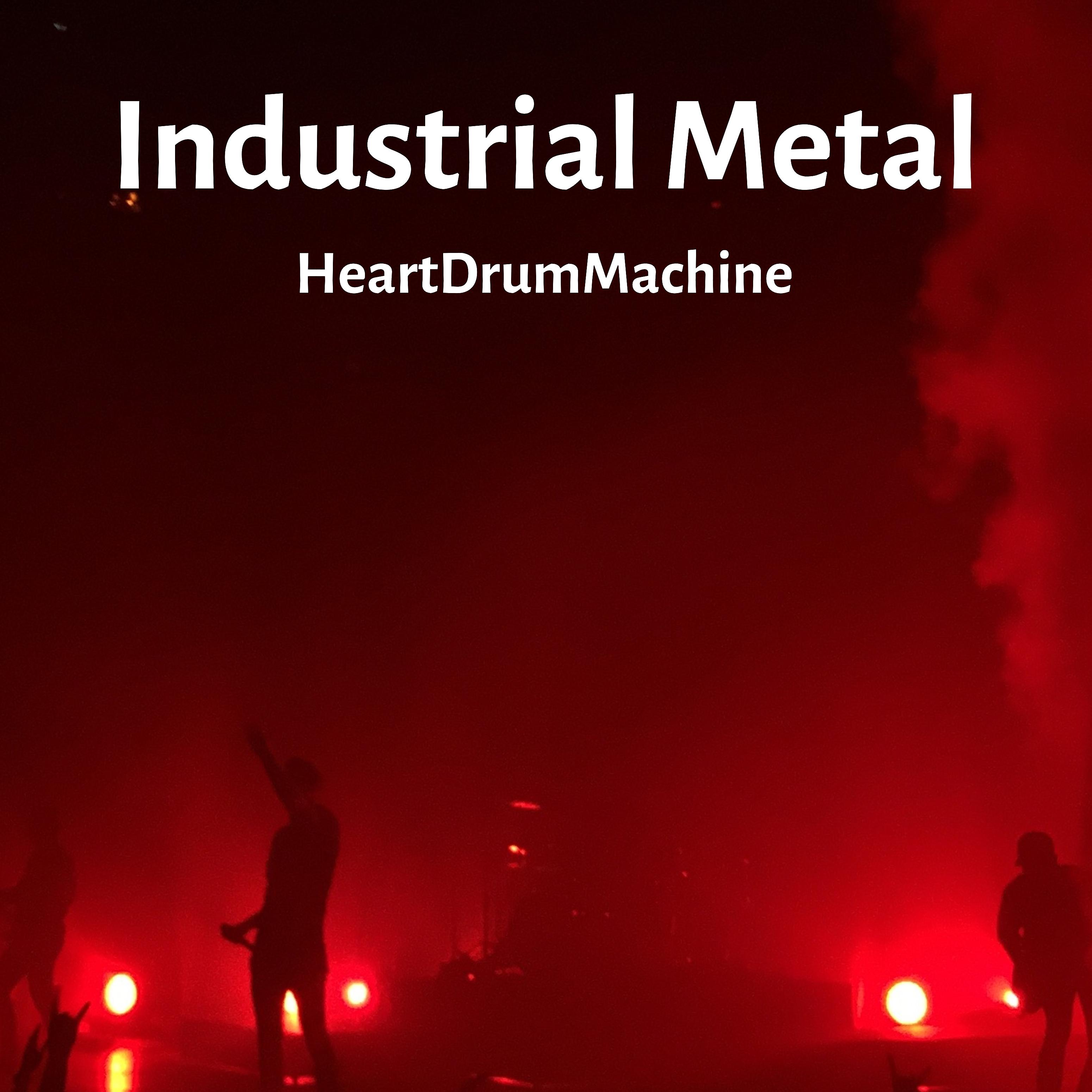 Постер альбома Industrial Metal