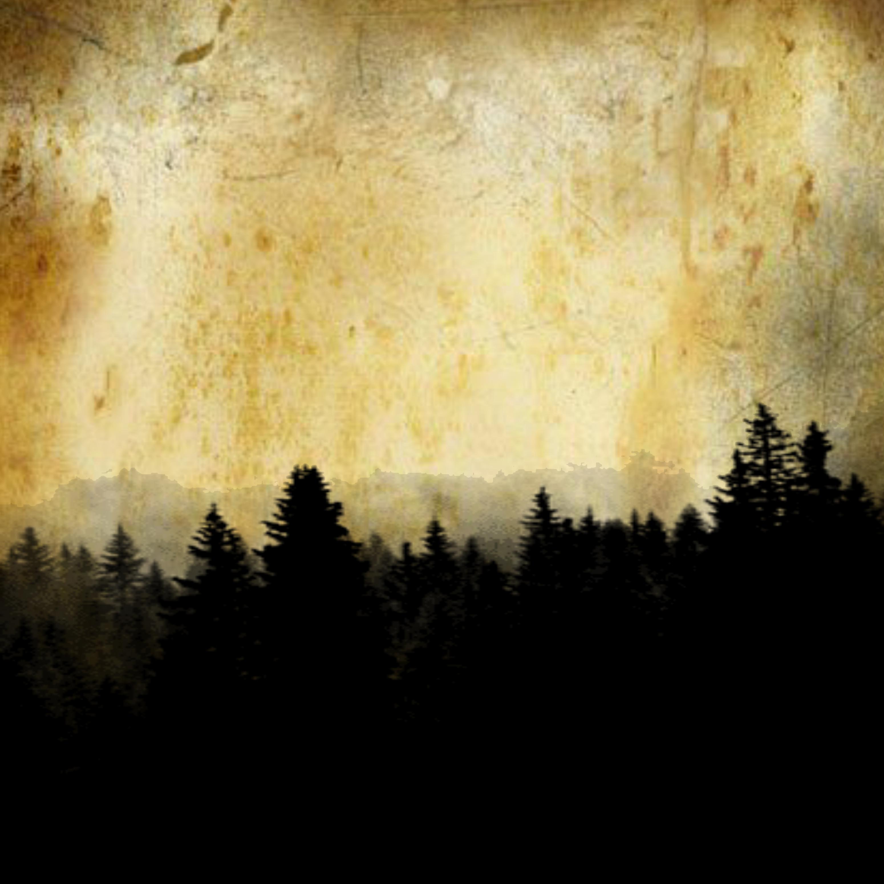 Постер альбома Тёмный лес