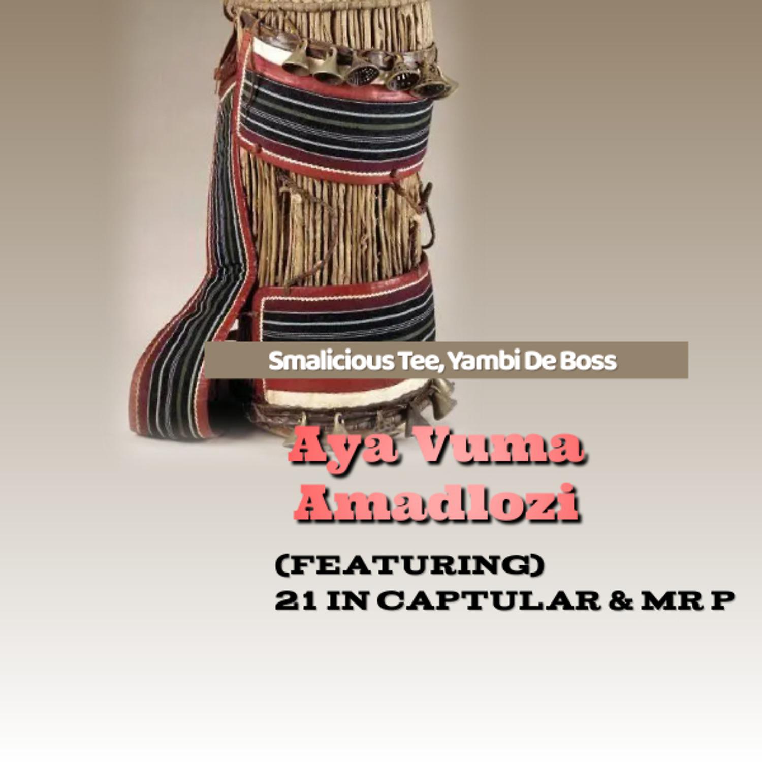 Постер альбома Aya Vuma Amadlozi