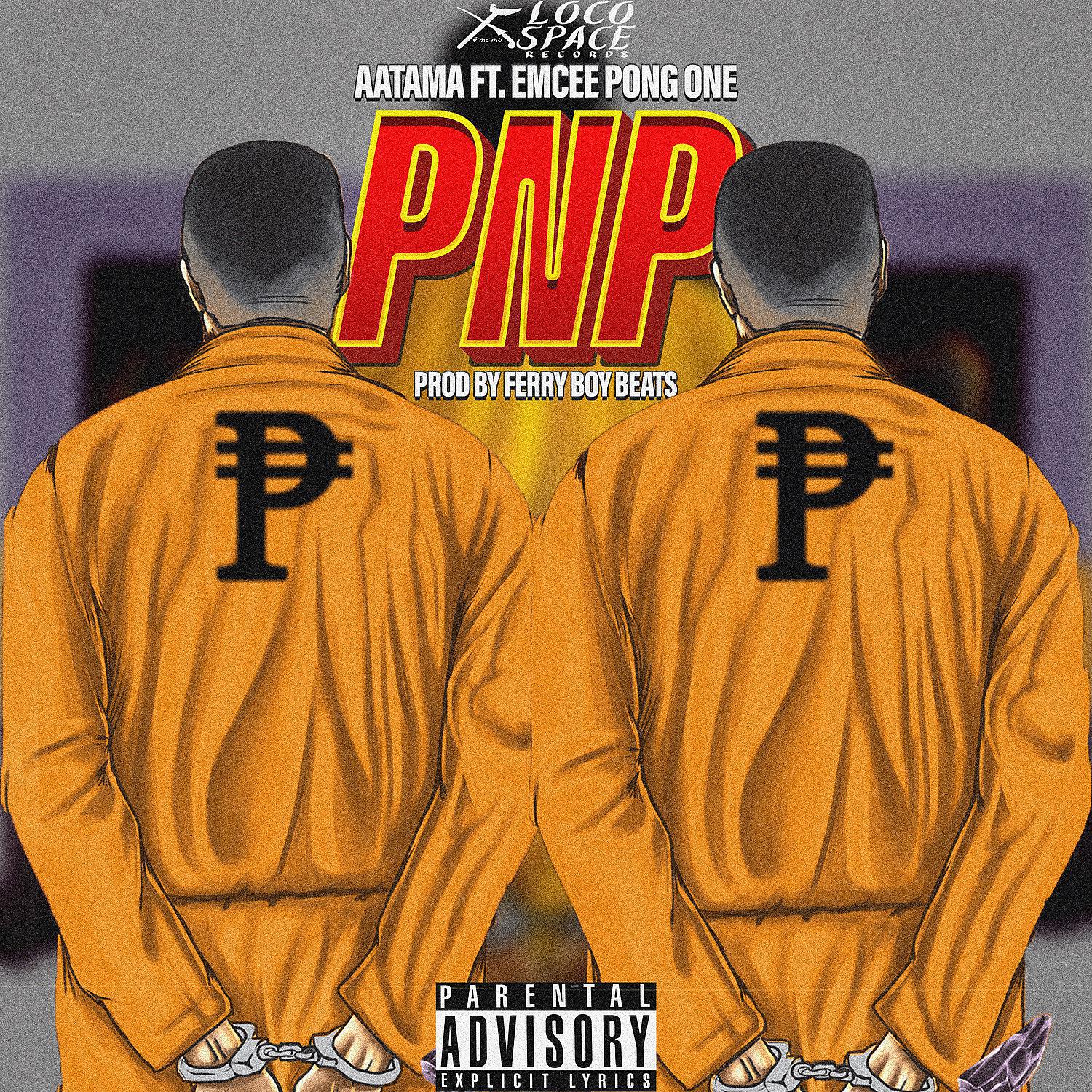 Постер альбома PNP
