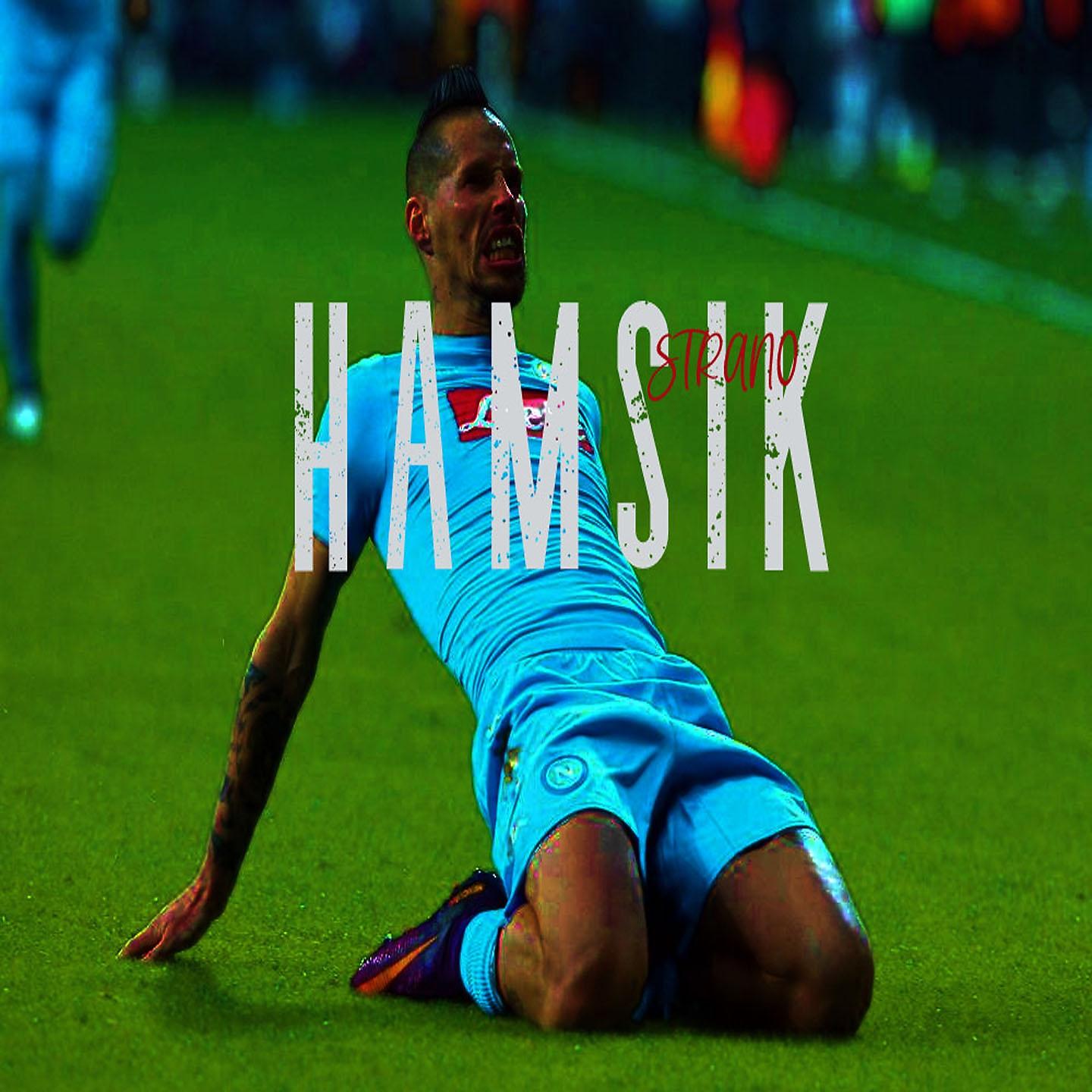 Постер альбома HAMSIK