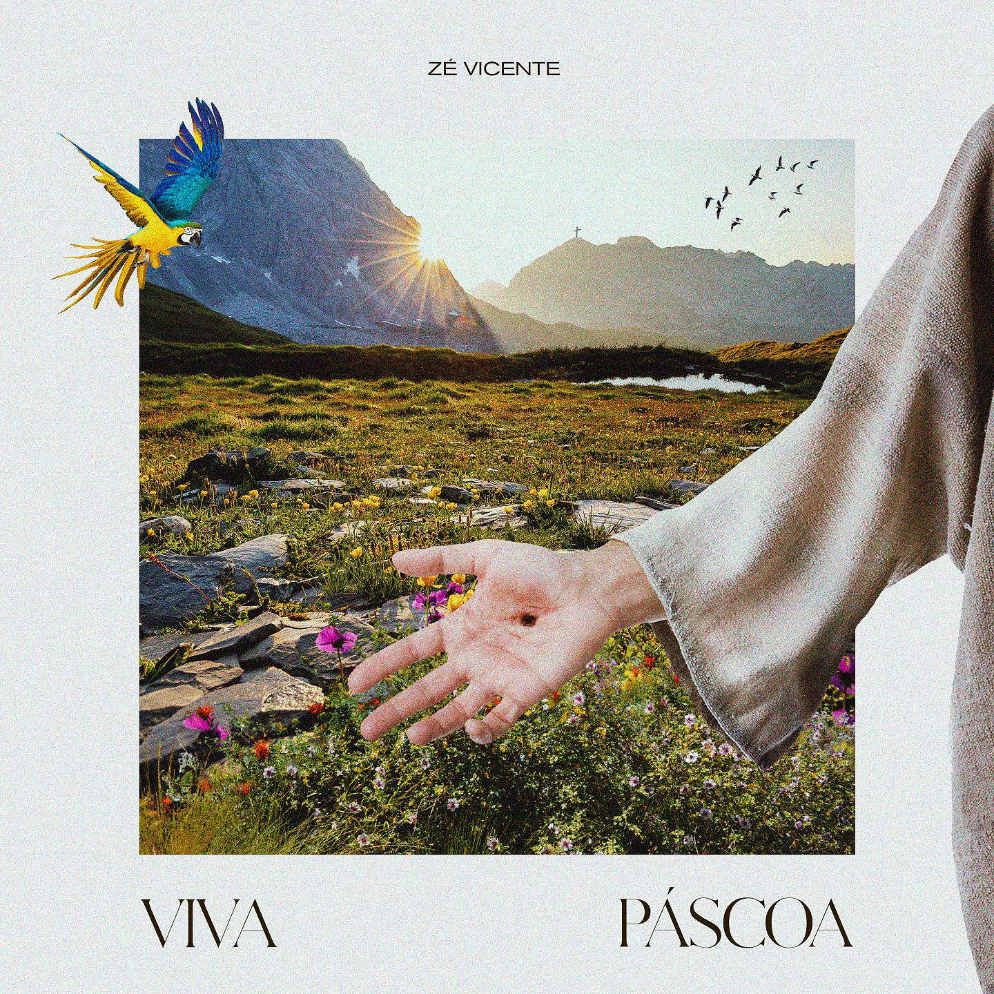 Постер альбома Viva Páscoa