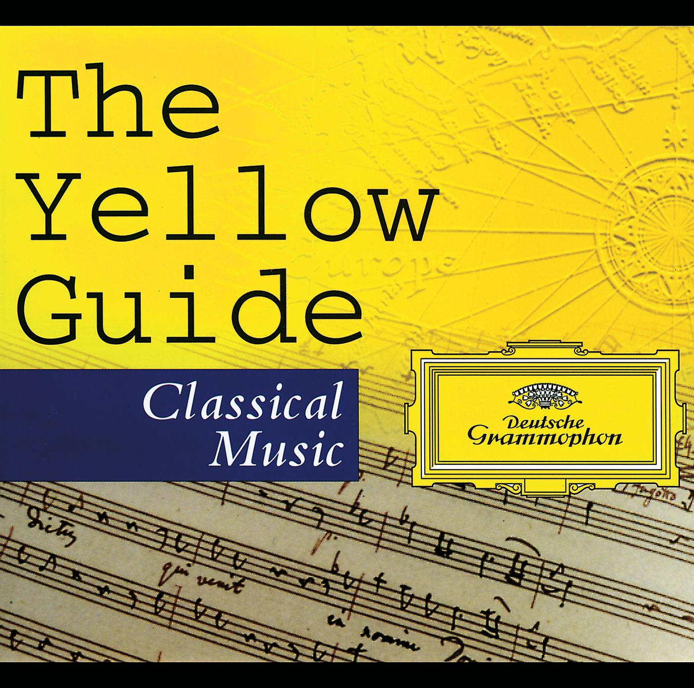 Постер альбома The Yellow Guide To Classical Music