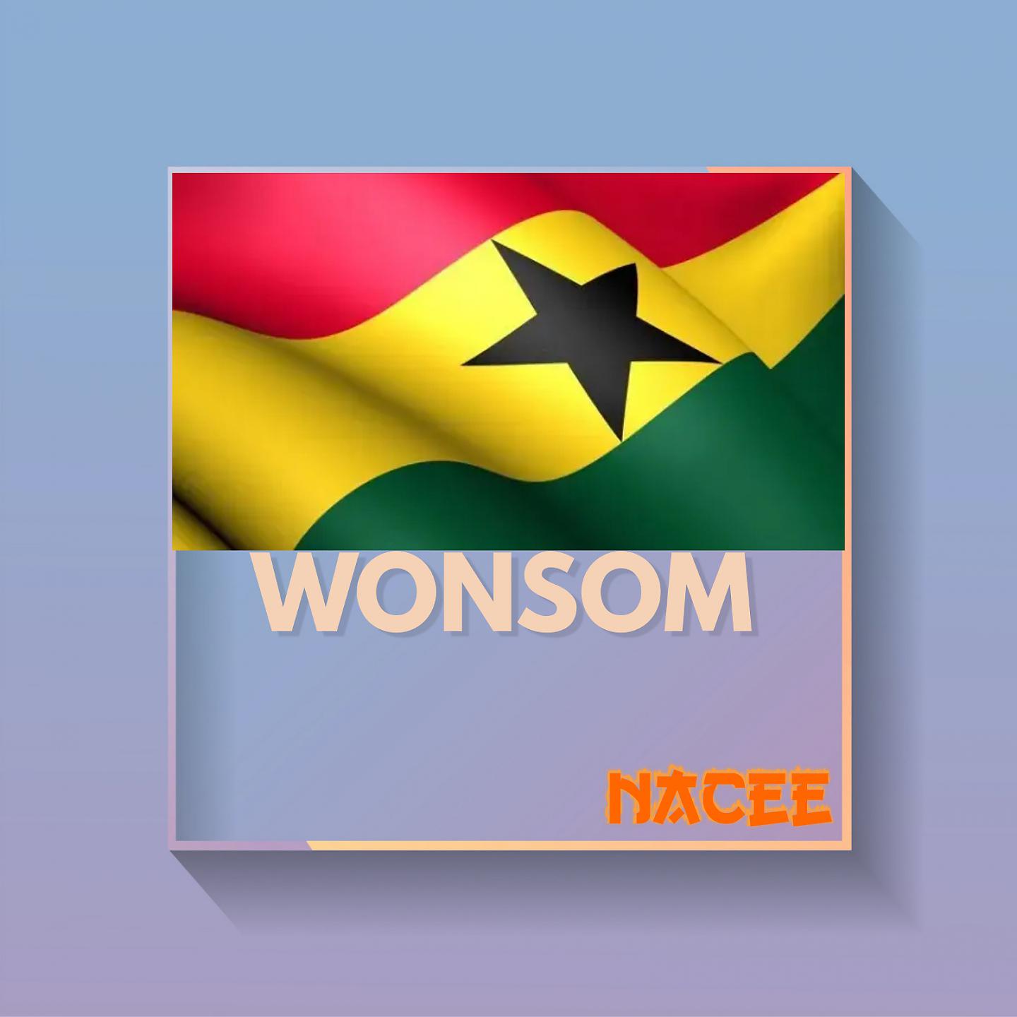 Постер альбома Wonsom