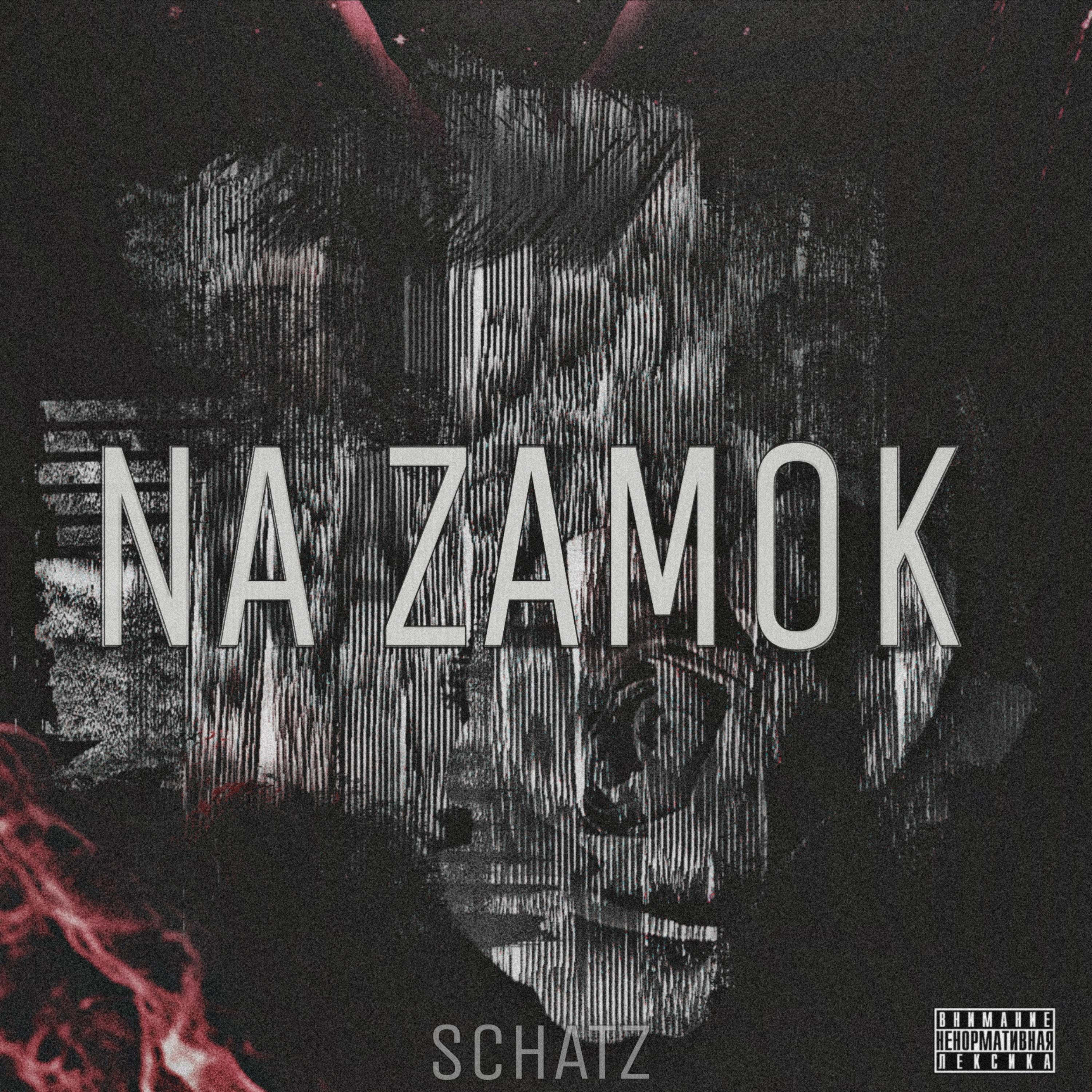 Постер альбома NA ZAMOK