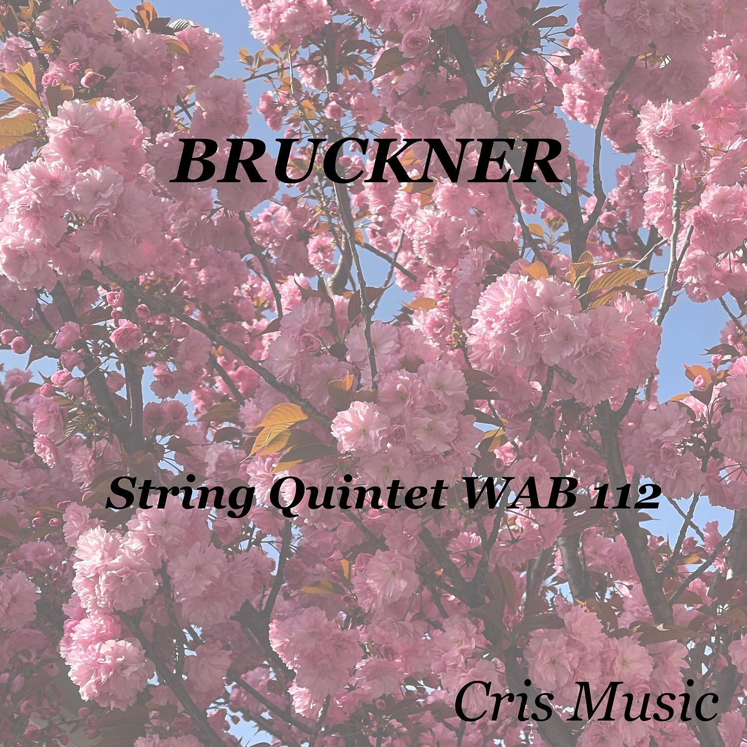 Постер альбома Bruckner: String Quintet WAB 112
