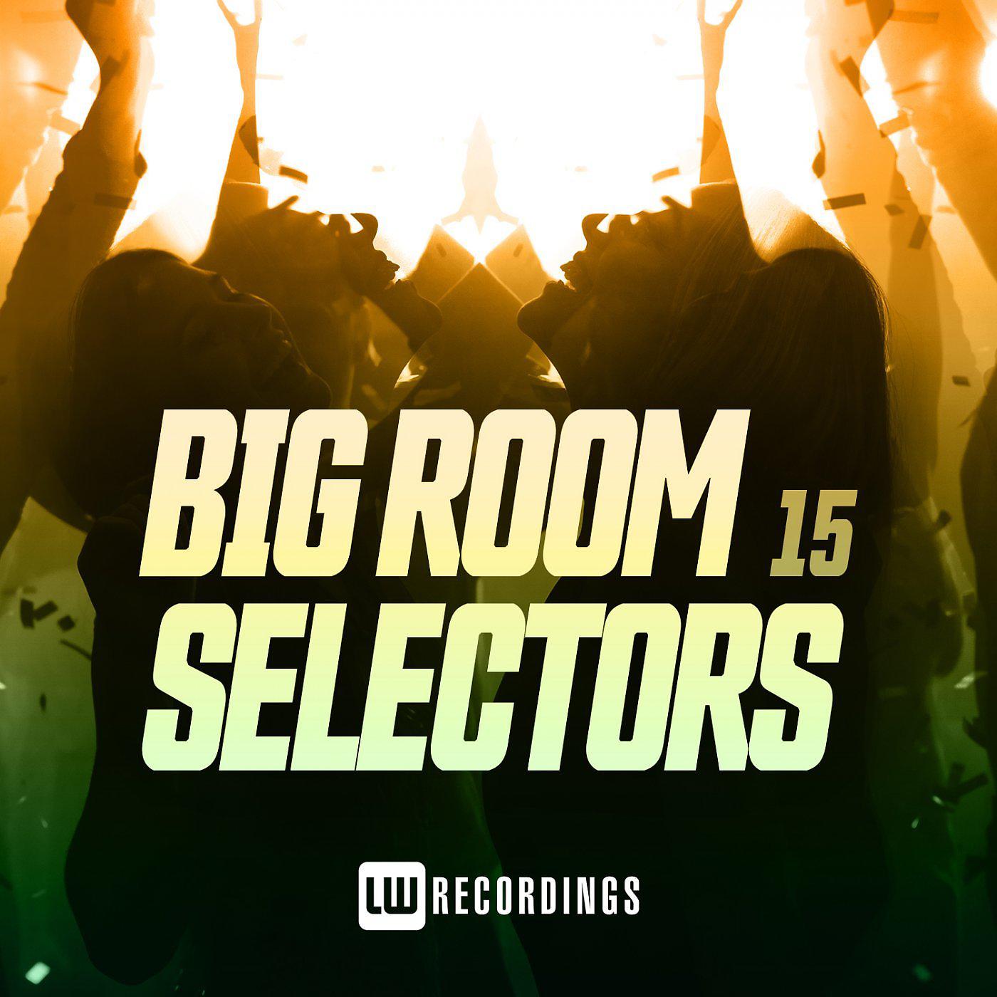 Постер альбома Big Room Selectors, 15