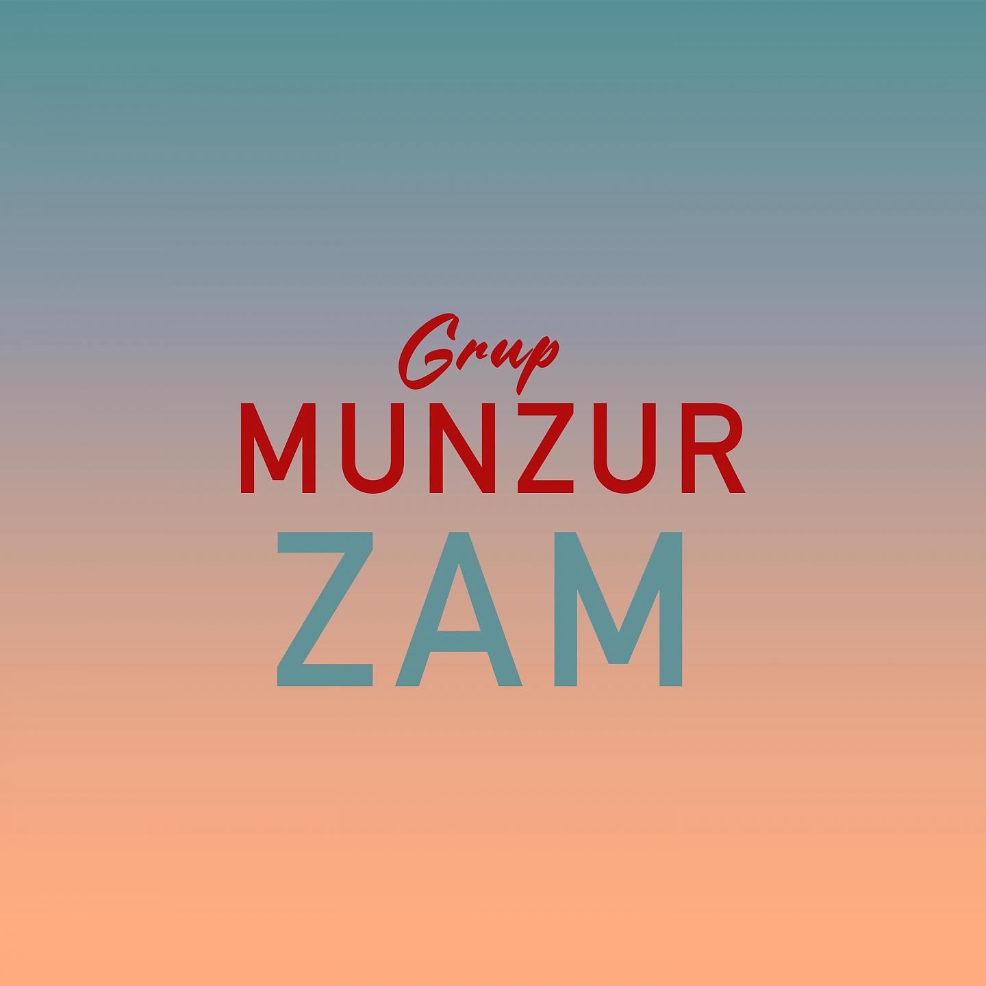 Постер альбома Zam