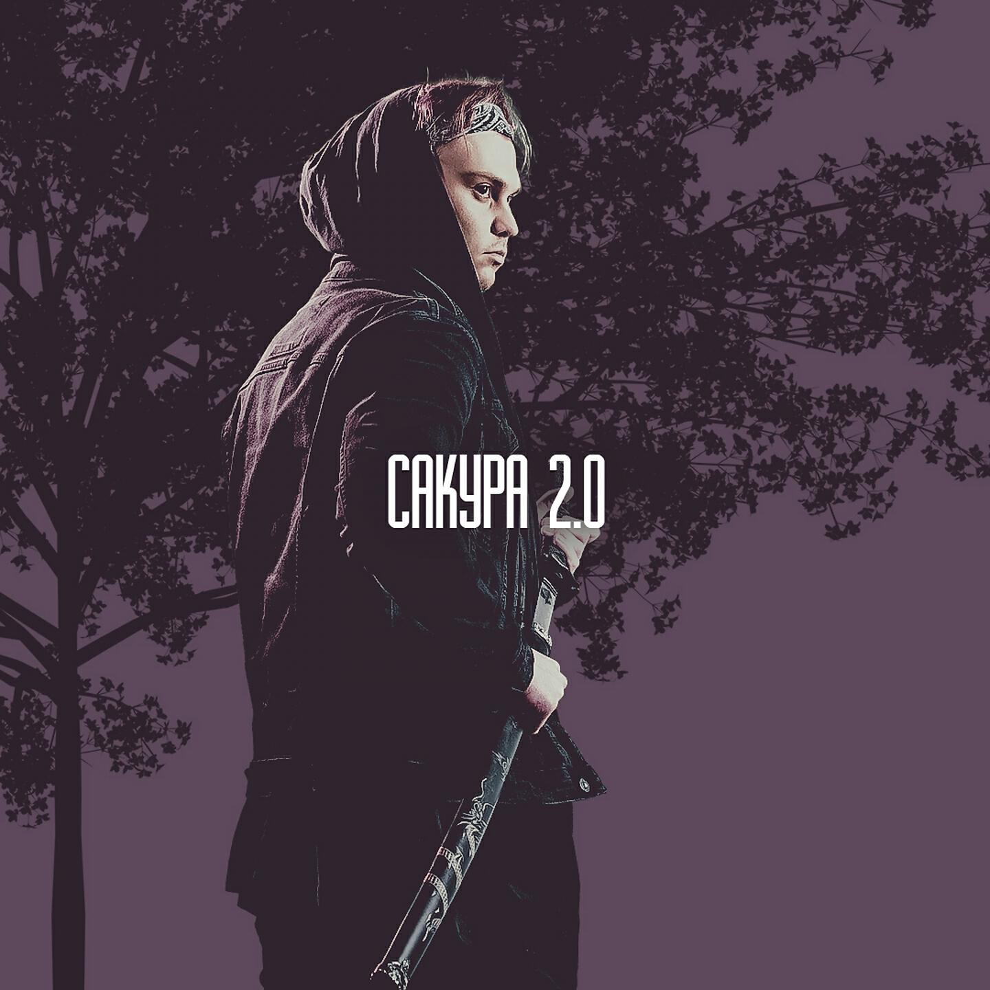 DKART - Сакура 2.0