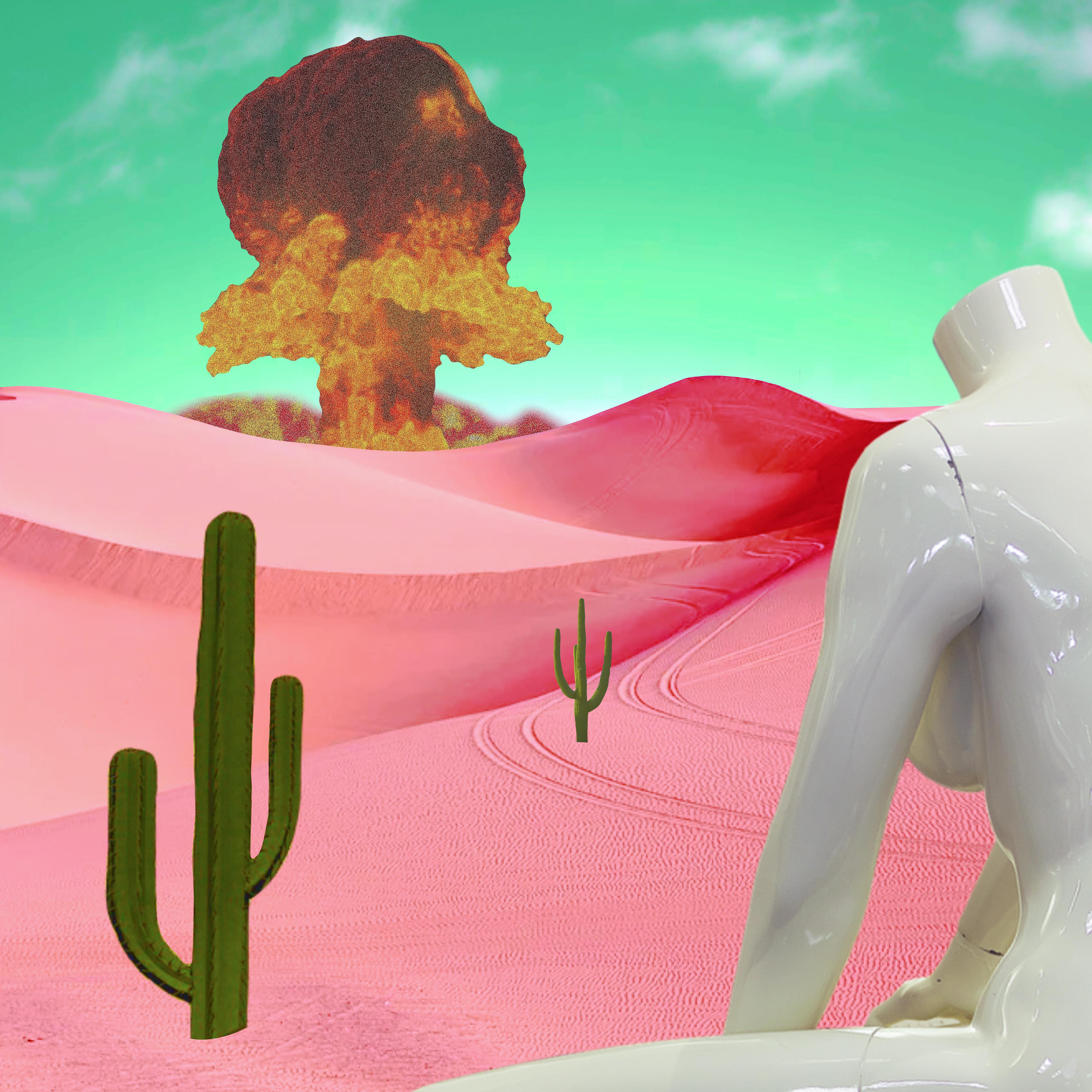 Постер альбома Розовая Пустыня