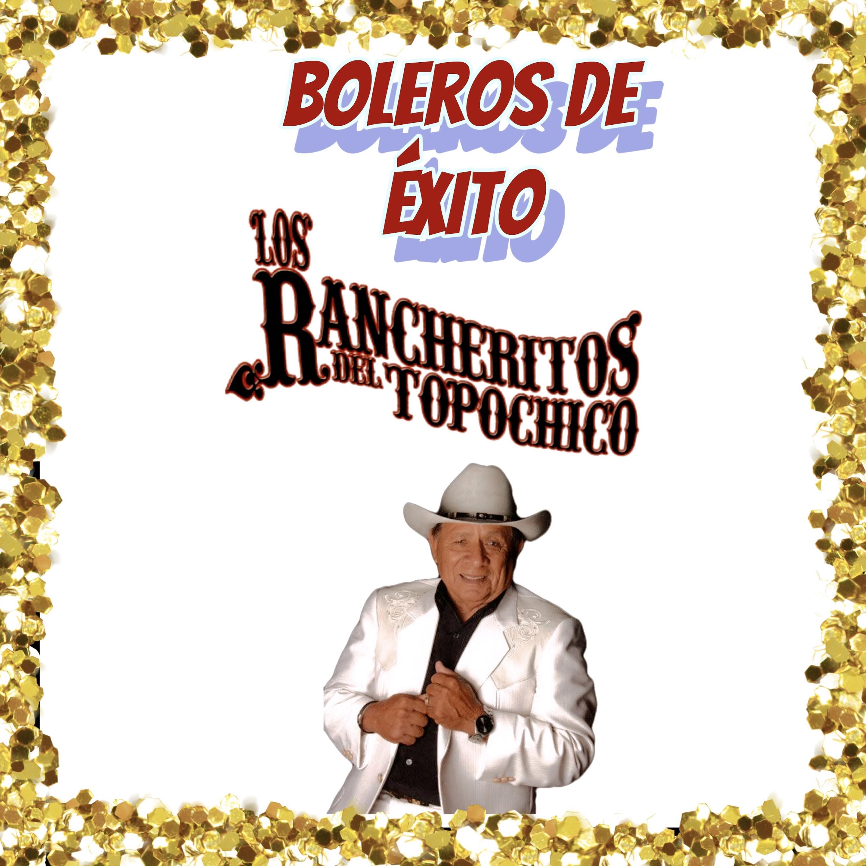 Постер альбома Boleros de Éxito