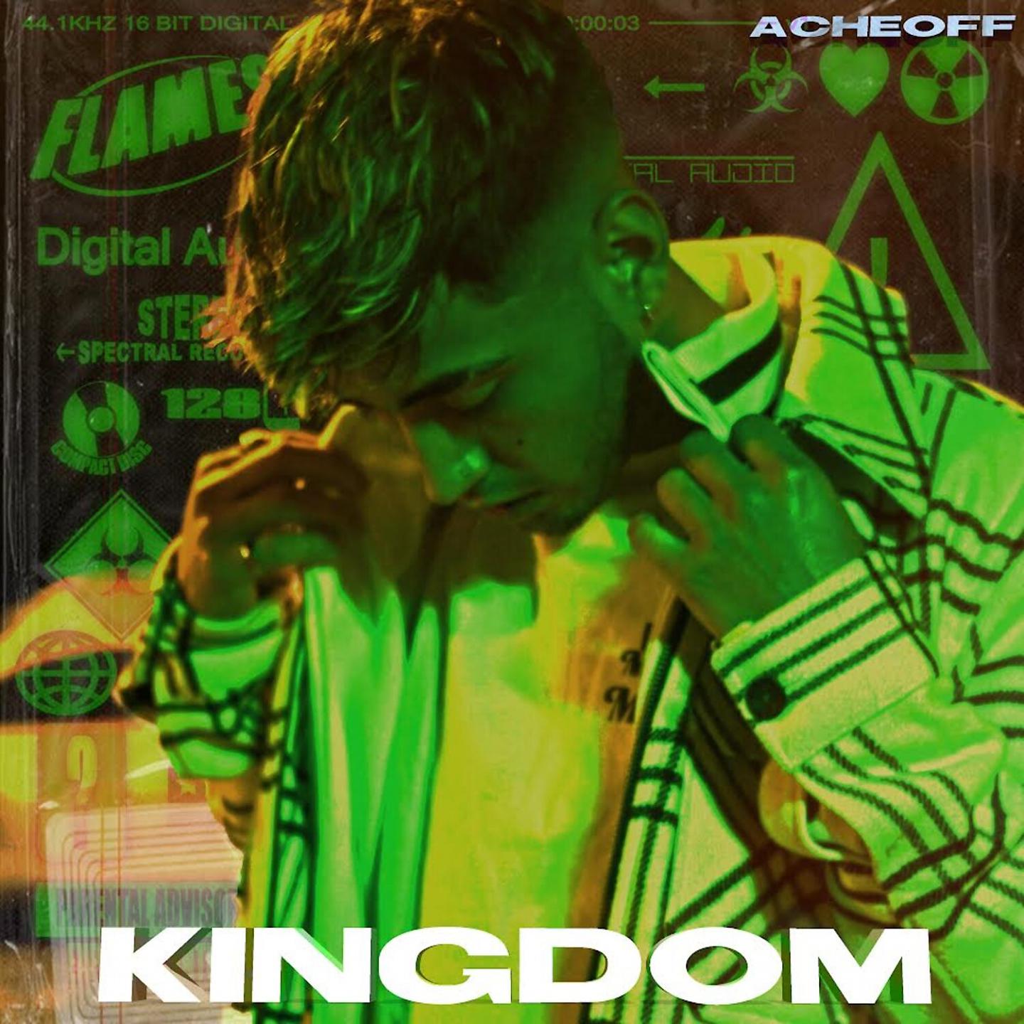 Постер альбома Kingdom