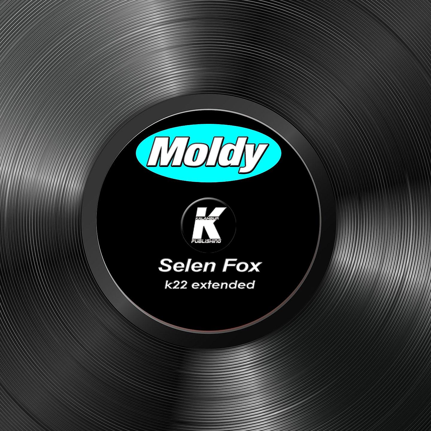 Постер альбома SELEN FOX