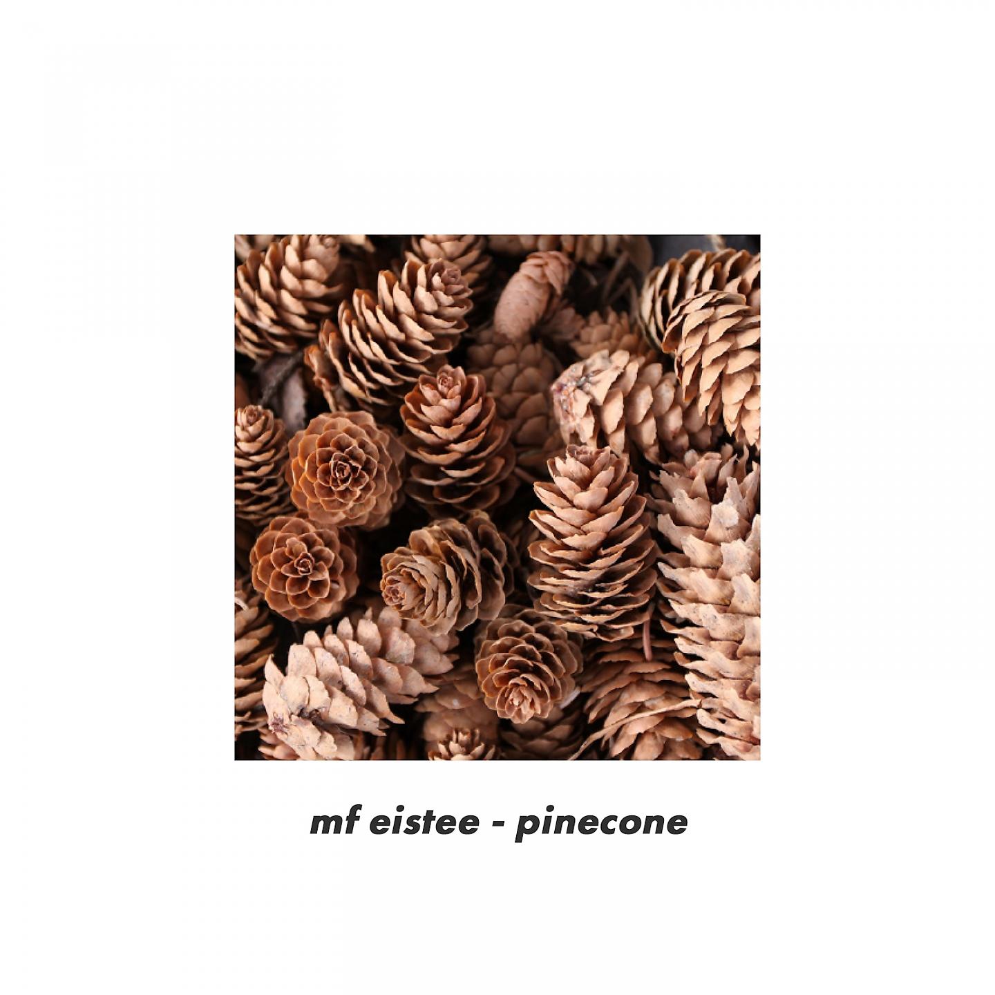 Постер альбома pinecone