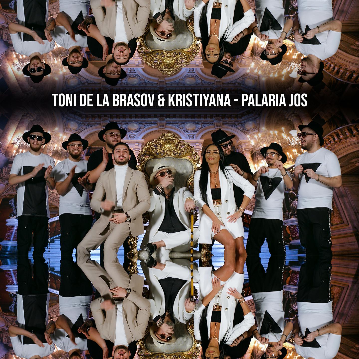Постер альбома Palaria jos