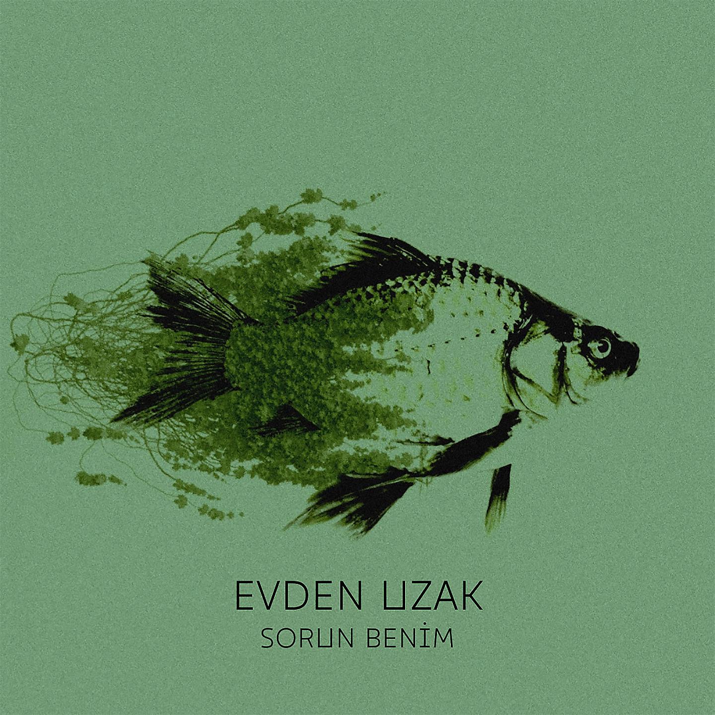 Постер альбома Sorun Benim